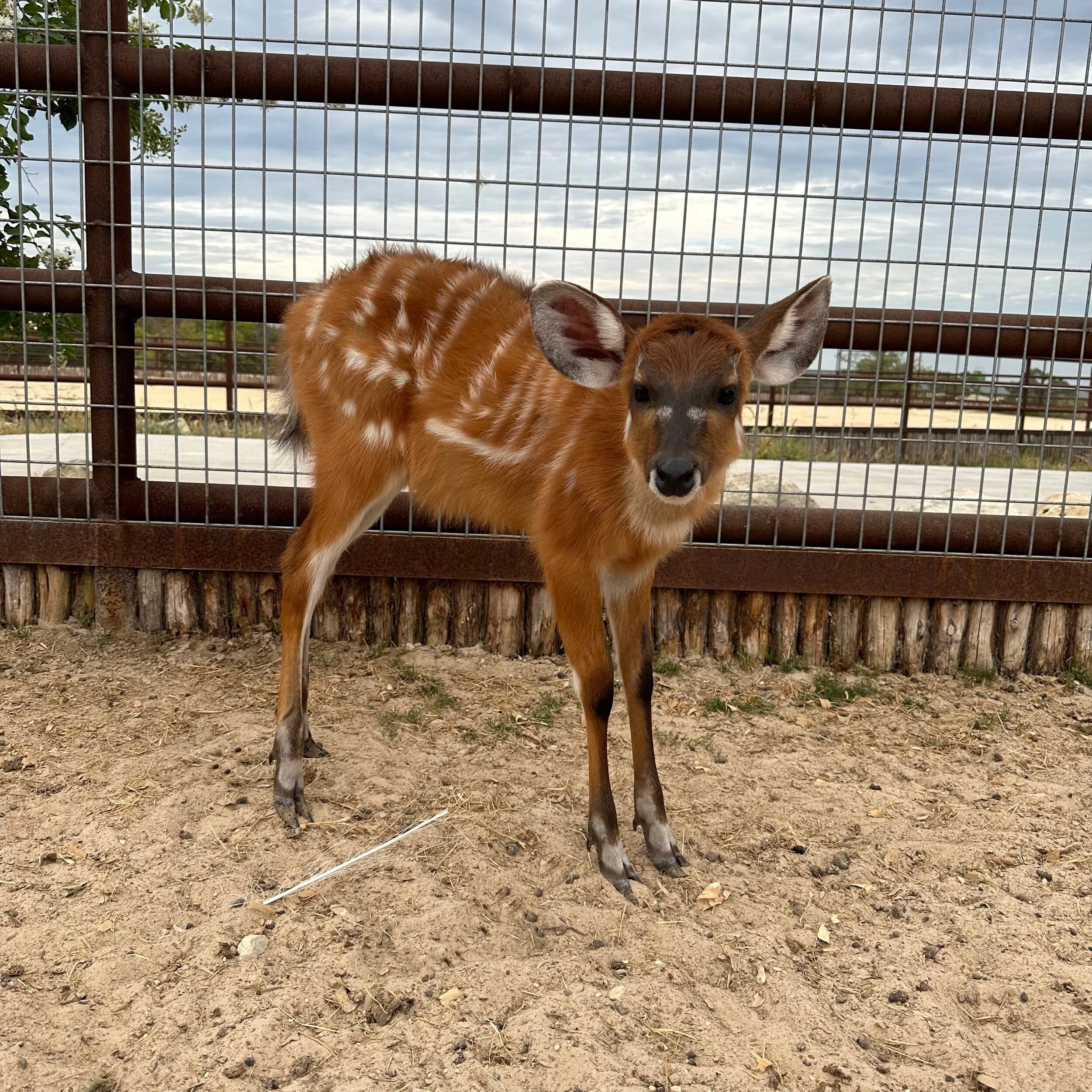 A26F12F8-30B9-4959-A6C2-EBF8BF330EE9