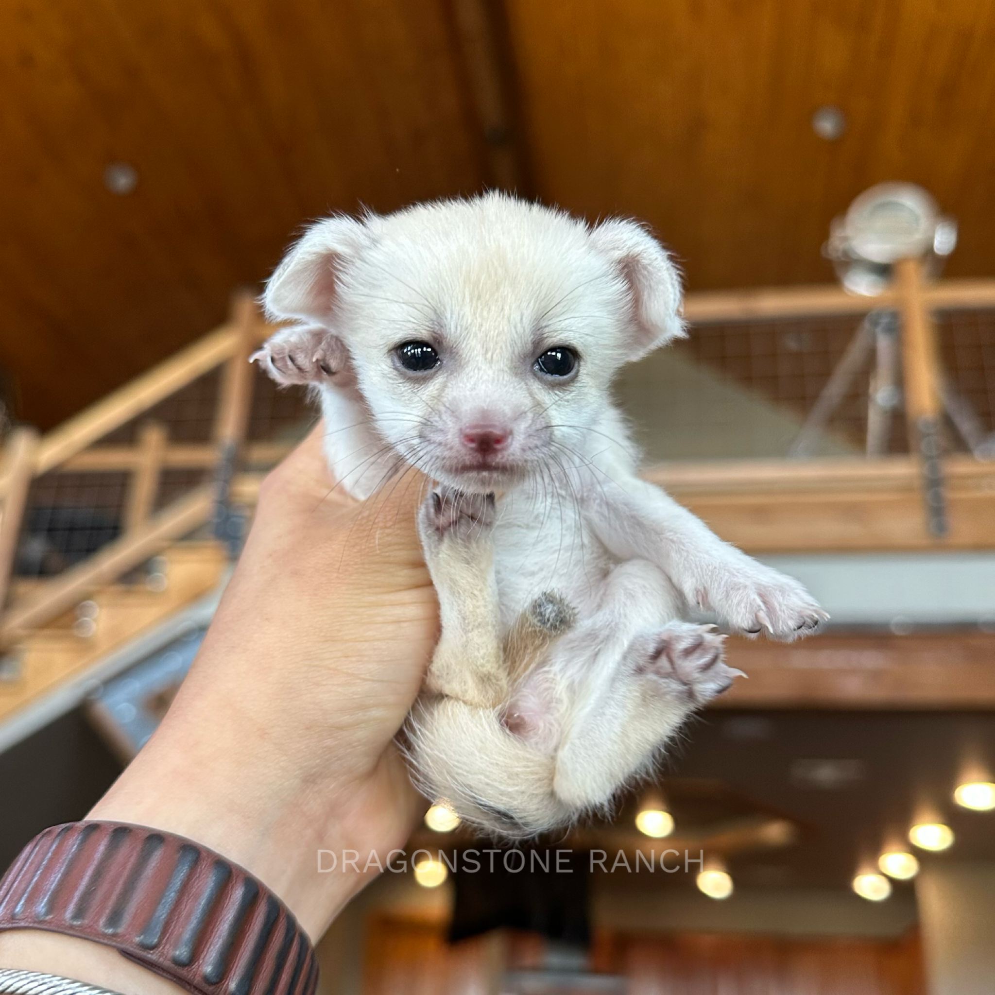 657C647D-6730-4A31-8AB9-D46B69D668DB