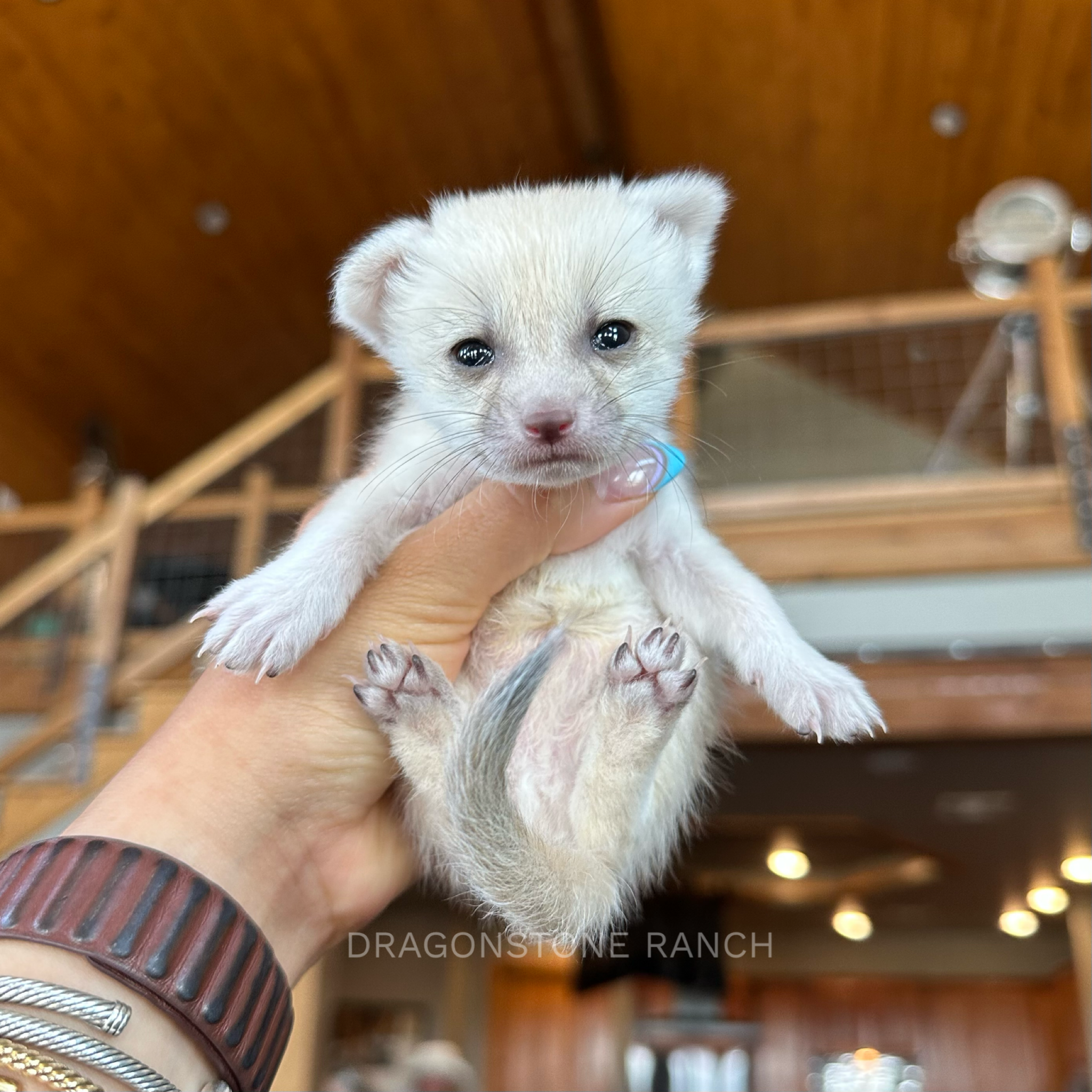 A759F420-7F4D-4589-8B2A-1EB63CB3CCCA