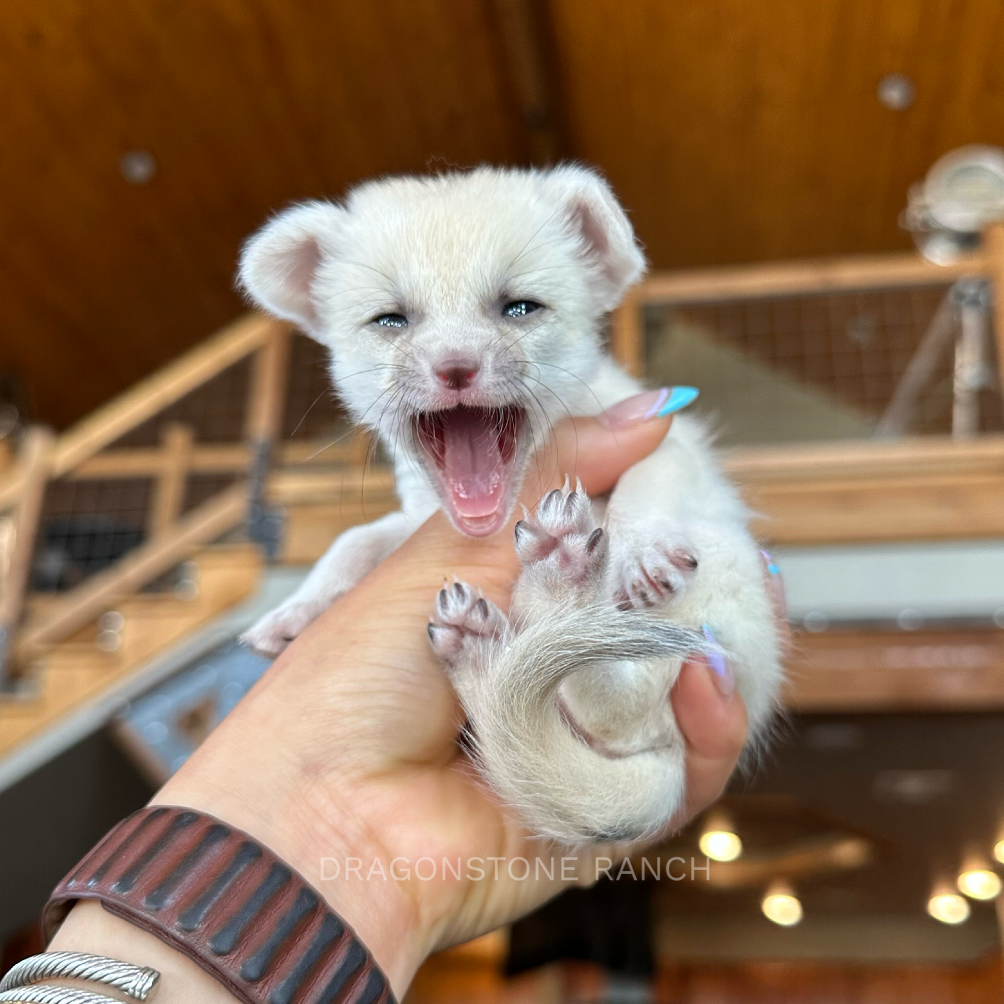 5538153E-1741-46F5-8593-D886AC6EA2FC