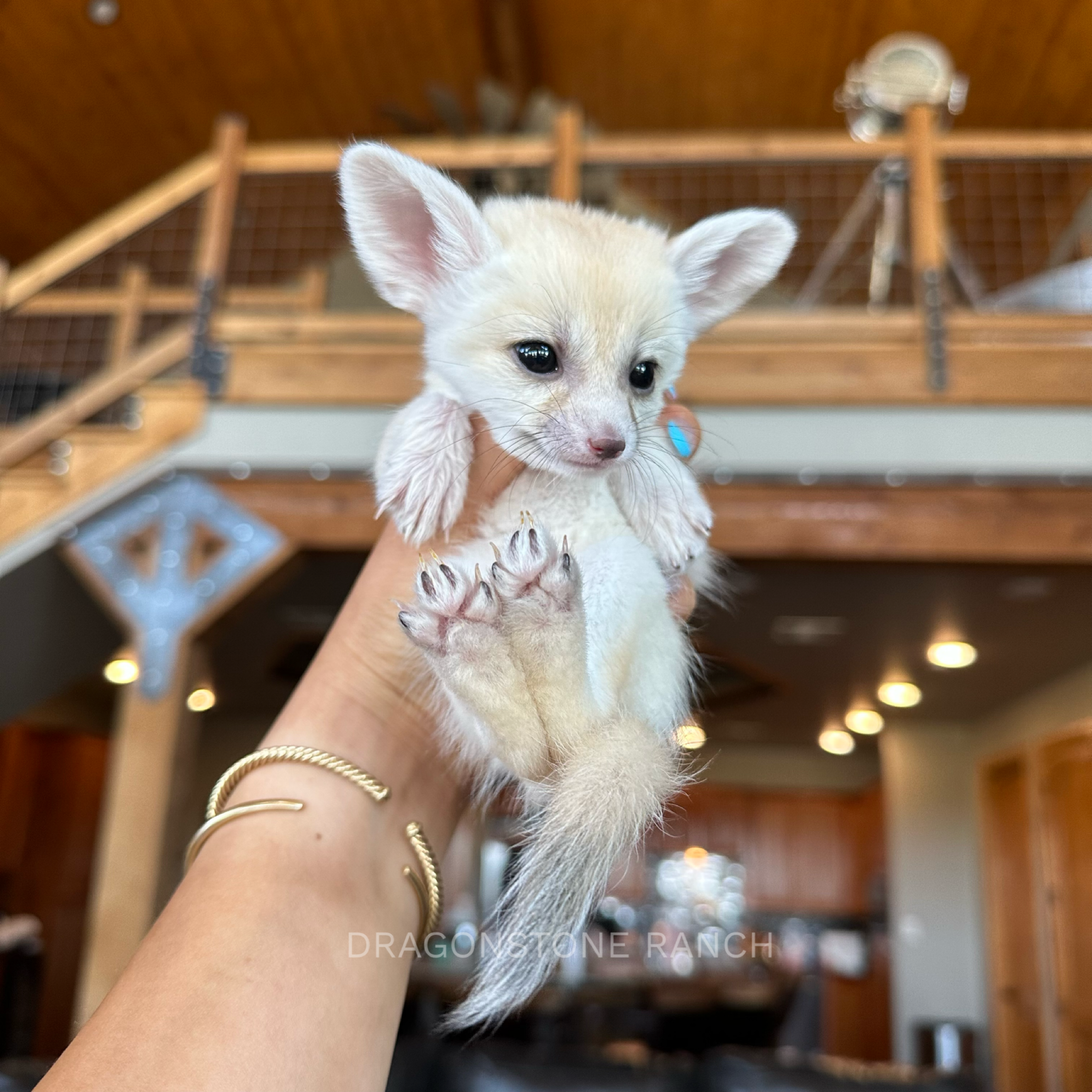 ED0CA791-502B-415B-95AD-3351674DBFD6