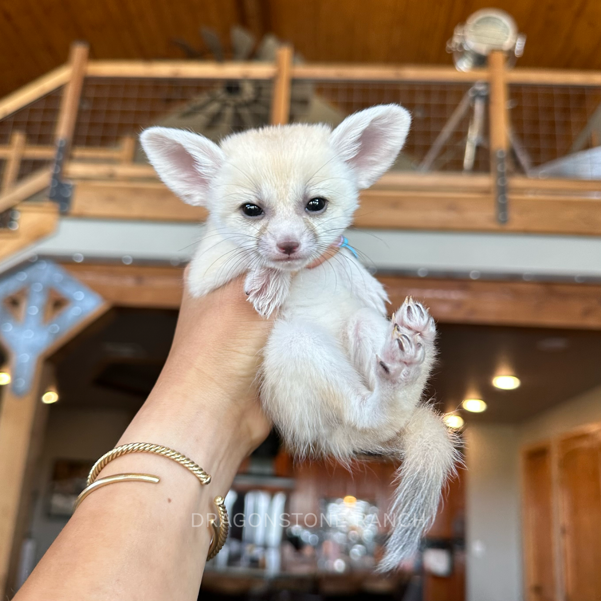 06A3C31F-22EE-4782-8E4E-4A09343FEB79