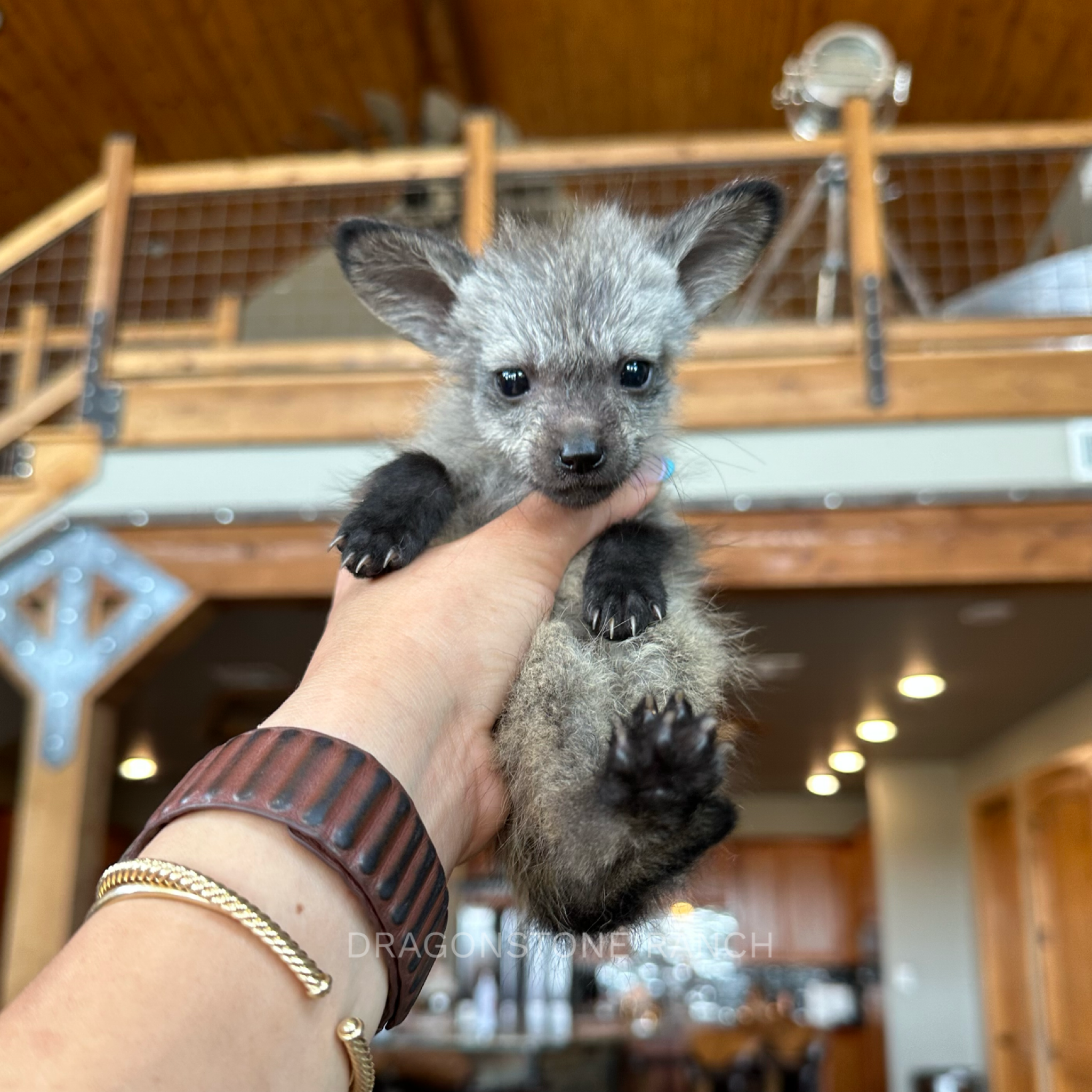 B7D72618-C147-4399-9EE6-F0E5212EA473