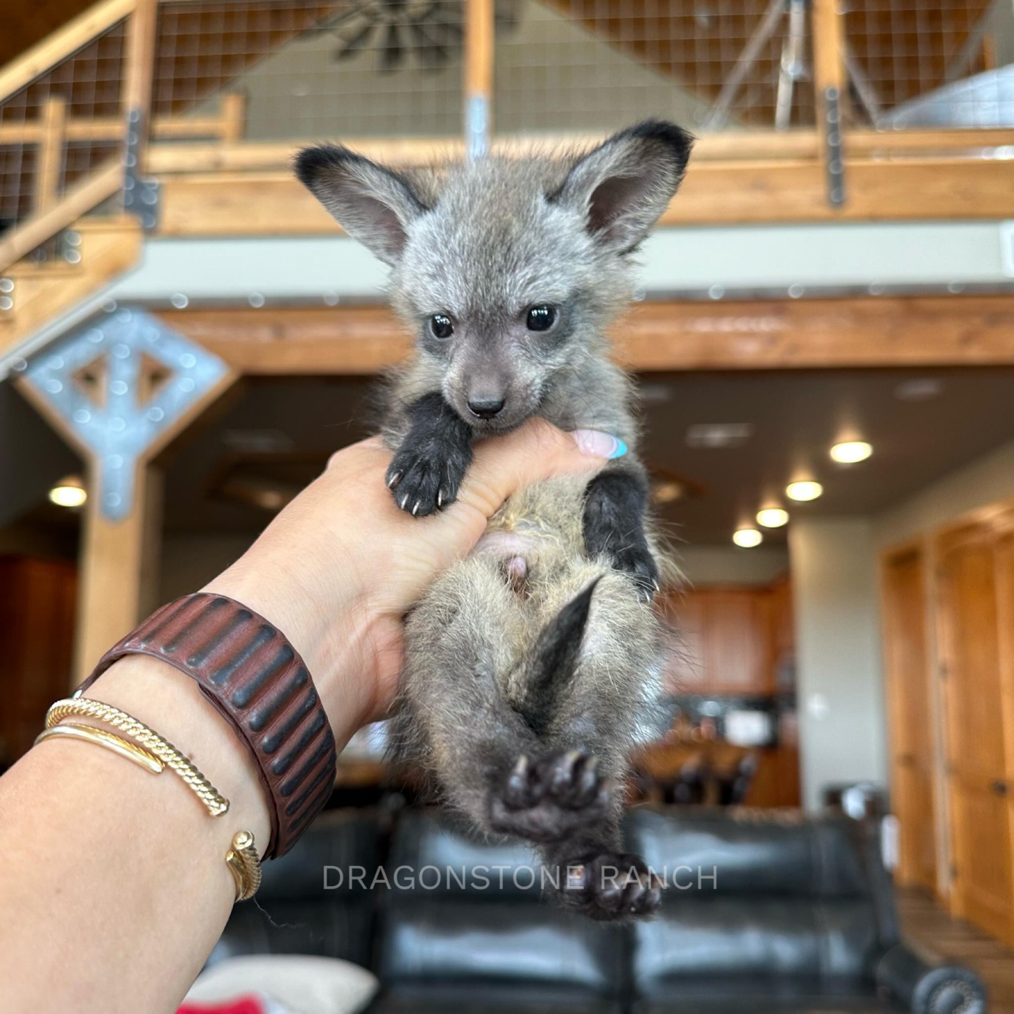 CFAD6287-E47B-4BD4-972A-030B82FF750D