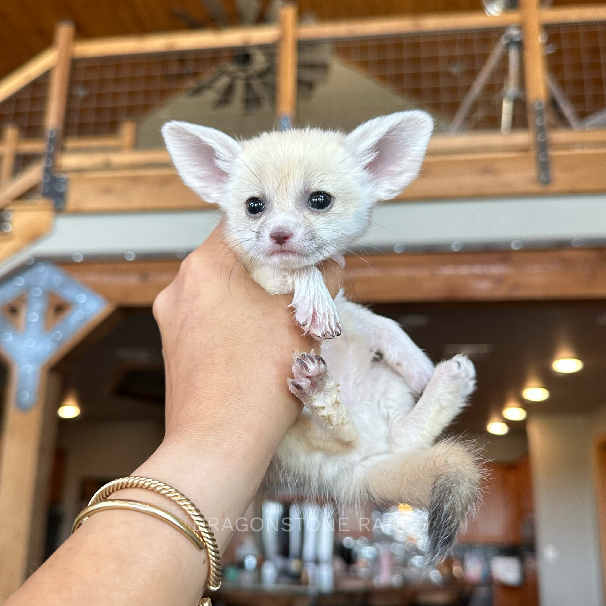 953CF070-7323-4532-8141-D5128C34951B