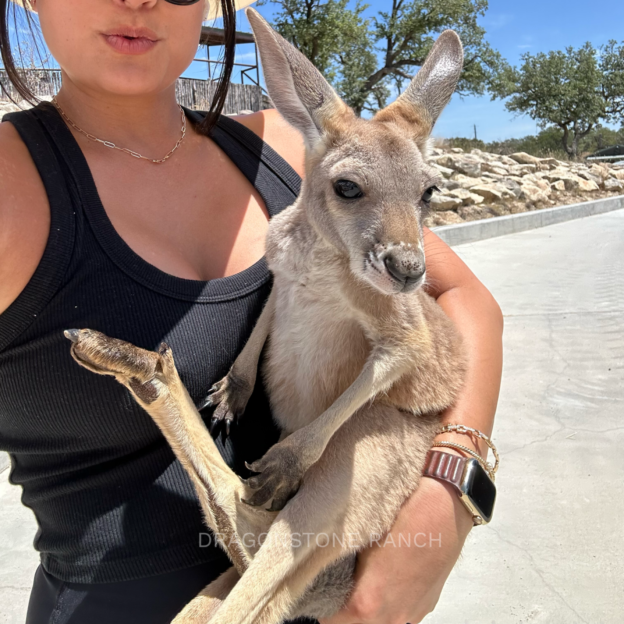 99AA026B-1F8C-475D-AF0C-D818A99D08AC