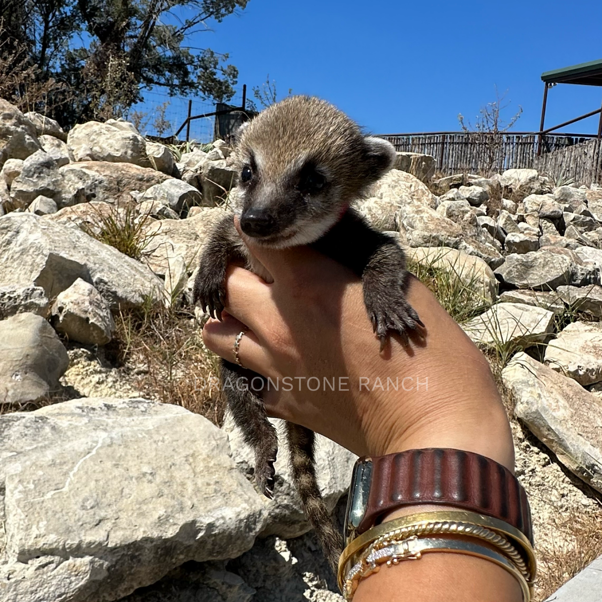 F8FE1A01-2B92-456E-AD19-3D94455A038F