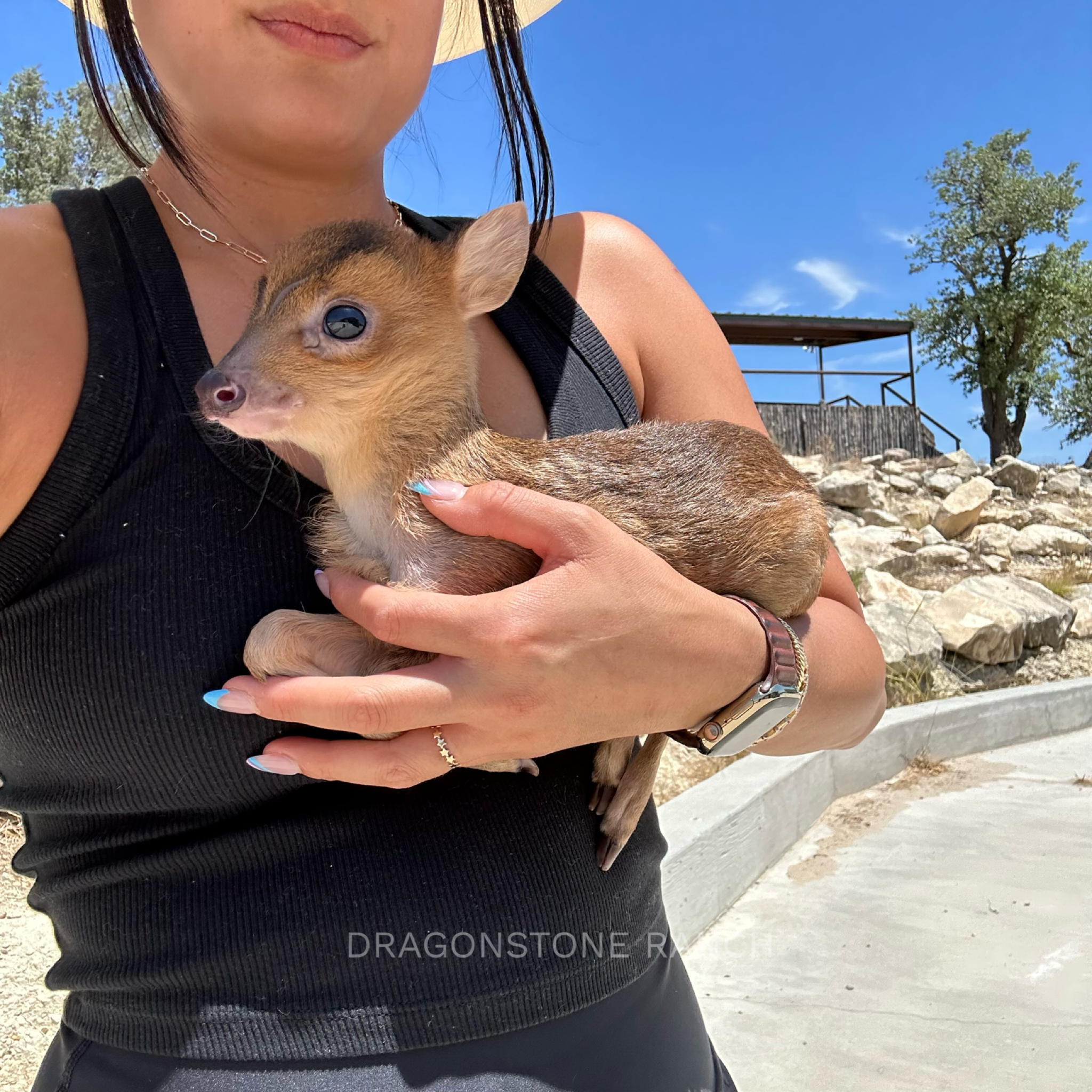 3511E6D0-92D9-402D-AD13-6D31D727DBBF