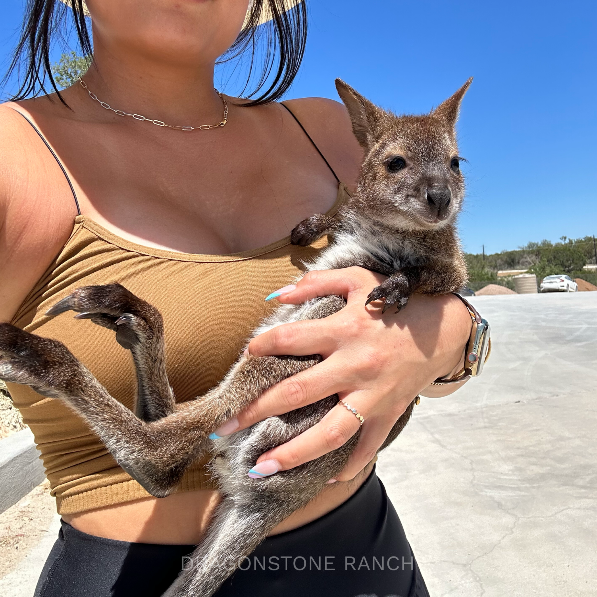 254B7C4F-7B62-487F-8AED-D21403F192E5