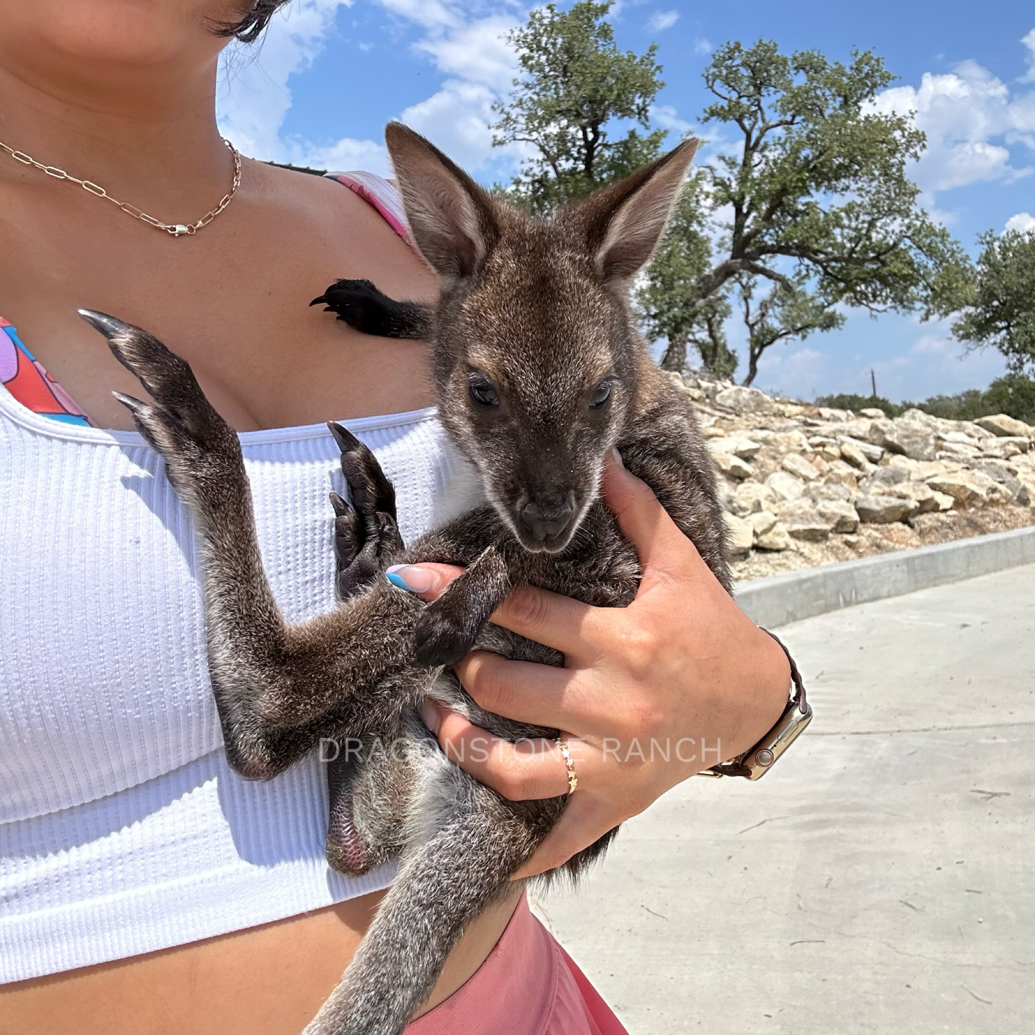 1EF6736D-BAB5-4753-8998-4A631DBE903B