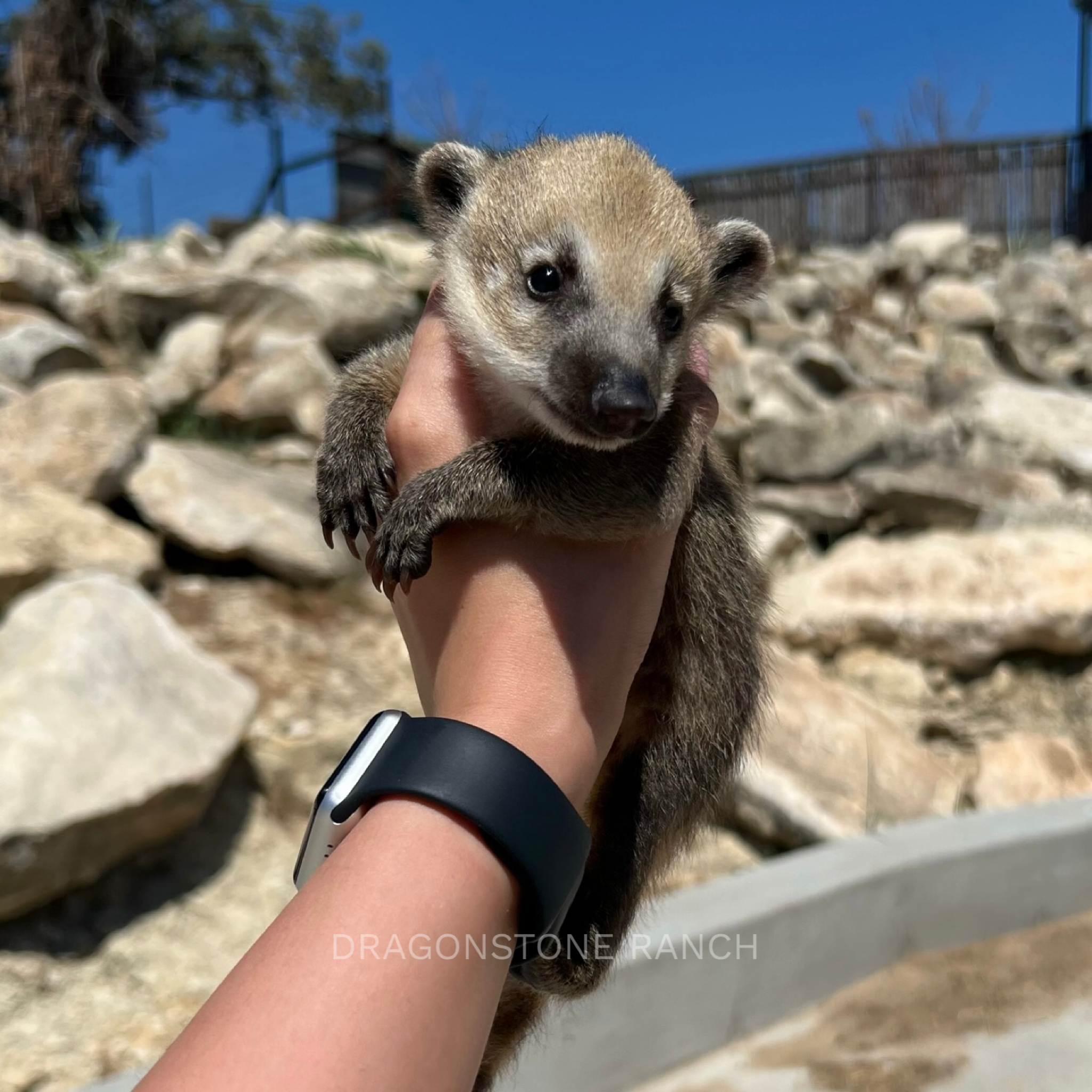 9BB59311-D80B-4CFA-99E0-FEC3494E43A3