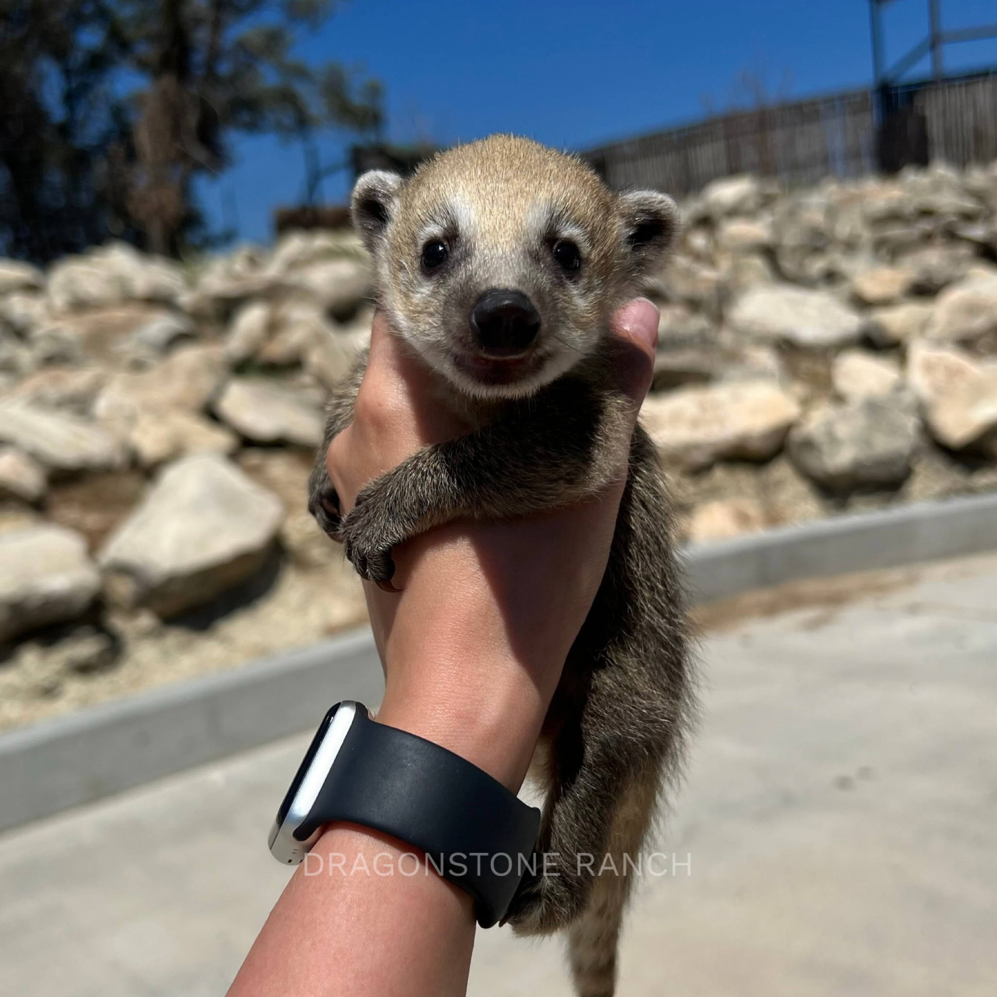 020BAF51-38B8-4F5A-B1F7-80CFDA410C1D