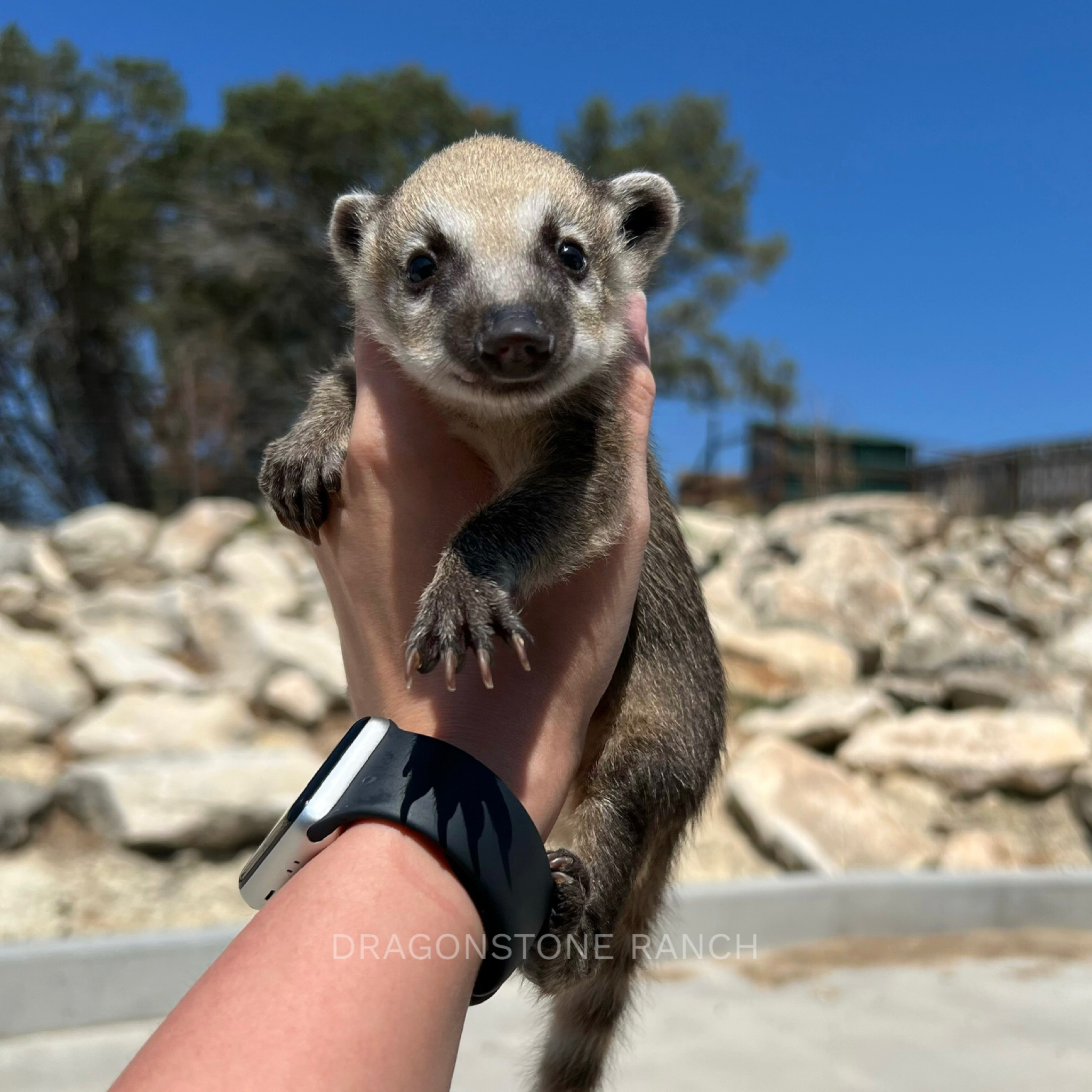 4A1FEC20-D191-4C71-84BC-1CBF85CE5924