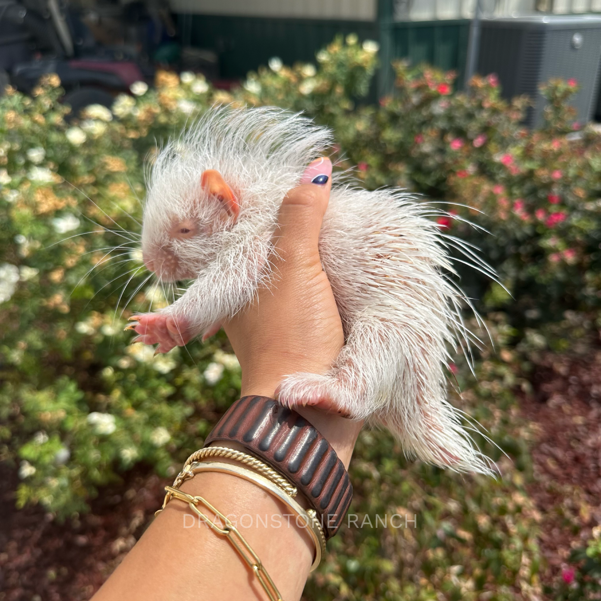 E5978530-1D30-4798-A0FF-45CCFF730B7E