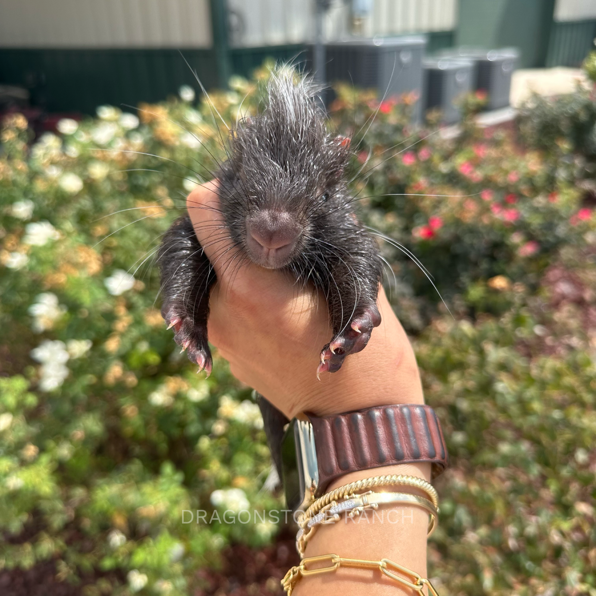 C398230F-F207-4415-A8EE-2DAEDA412A92