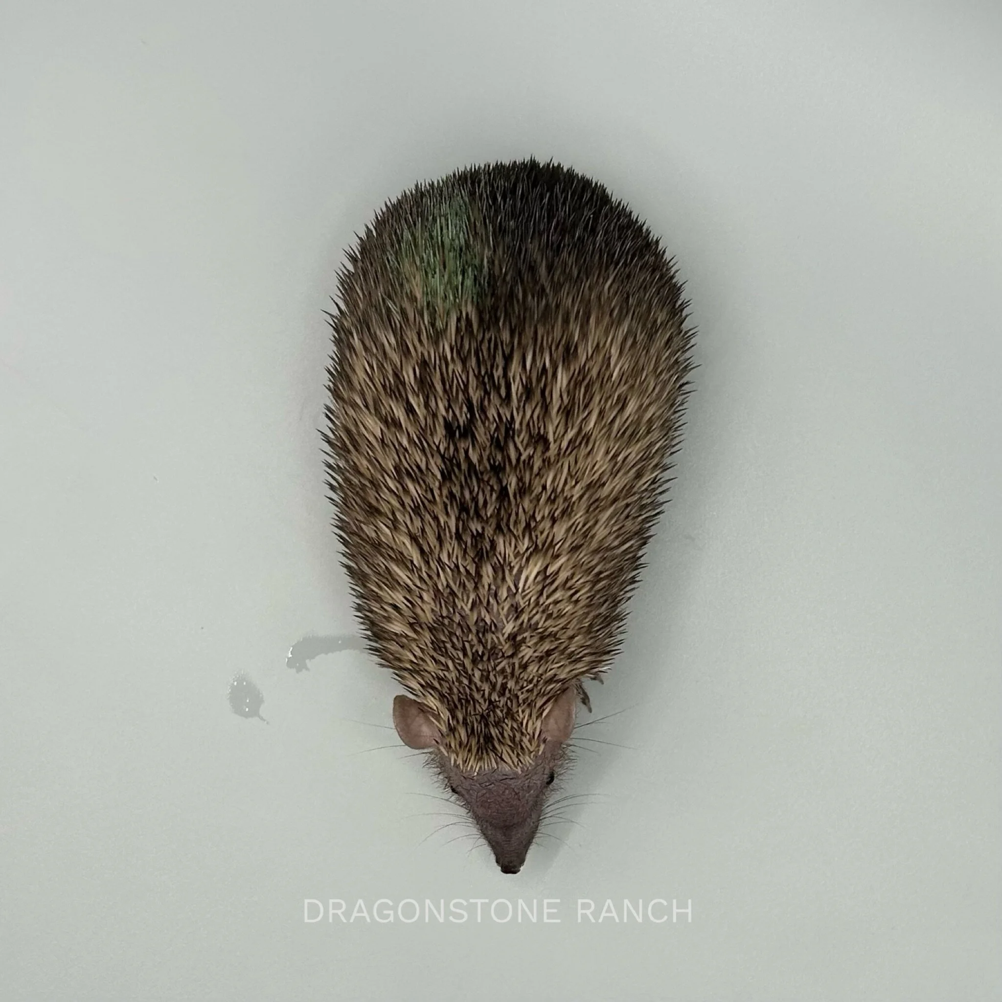 29AF67D9-65E8-40EF-BB44-FC234806B2E4