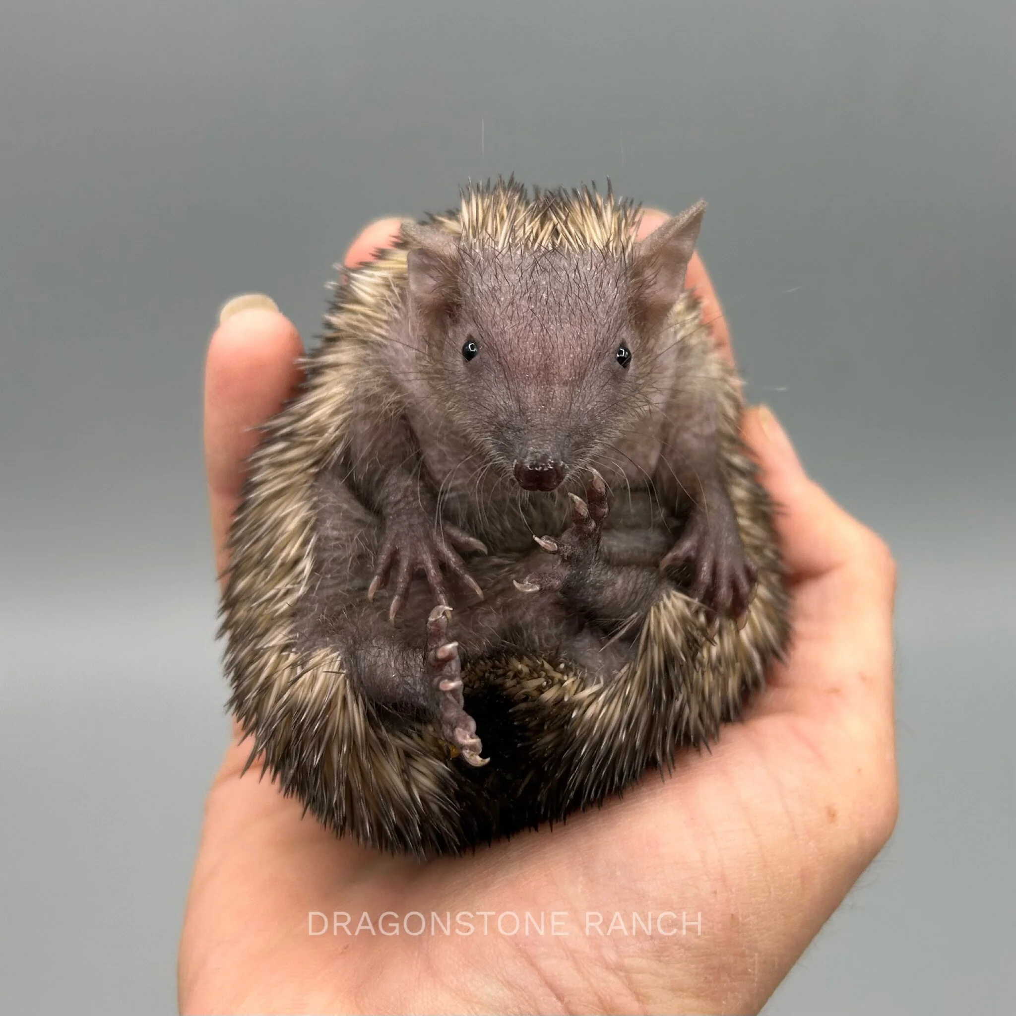 B05E2B7C-A707-4303-B7D2-A381C64FAD51