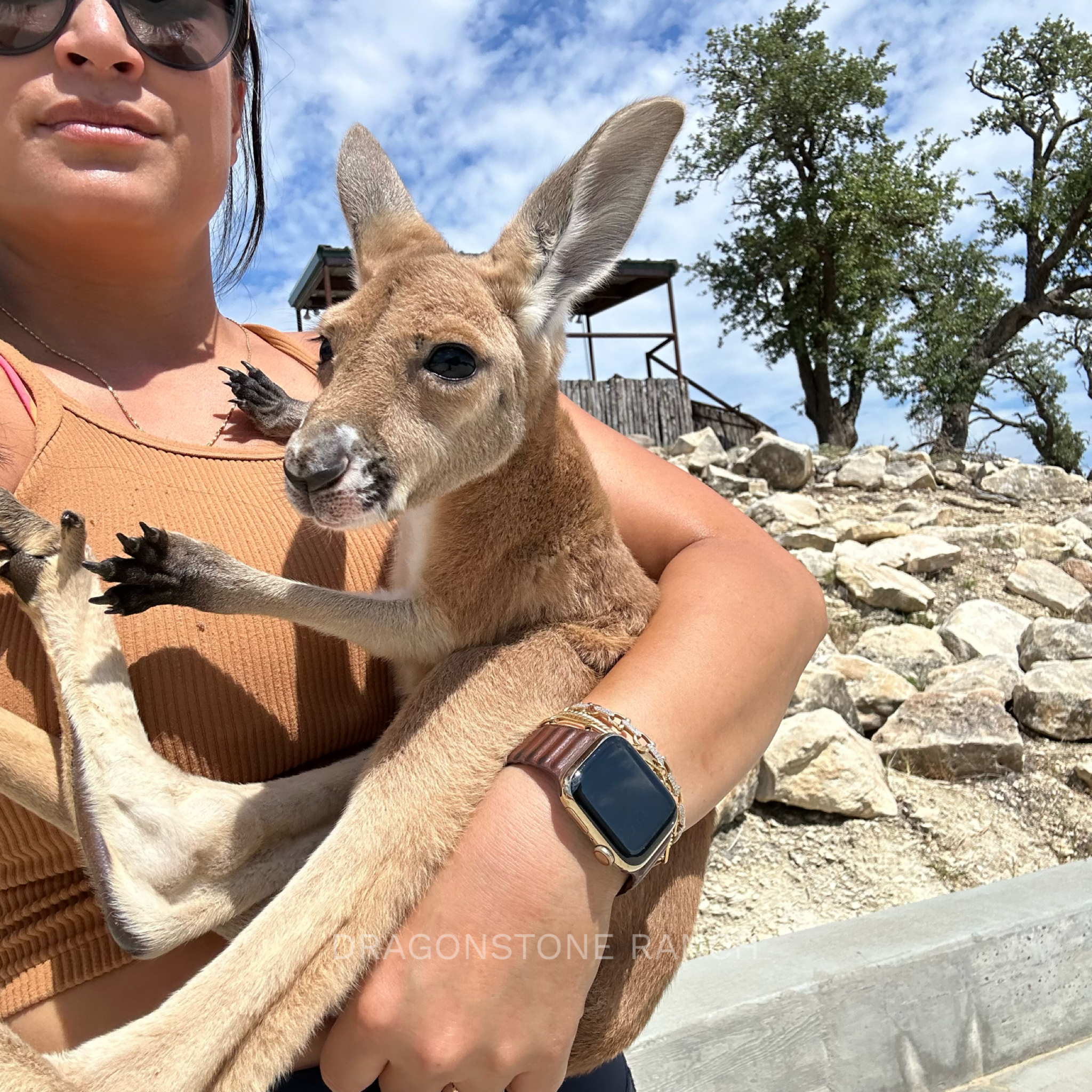 2B371D95-89C7-45F5-964E-D6CADADA0CD2