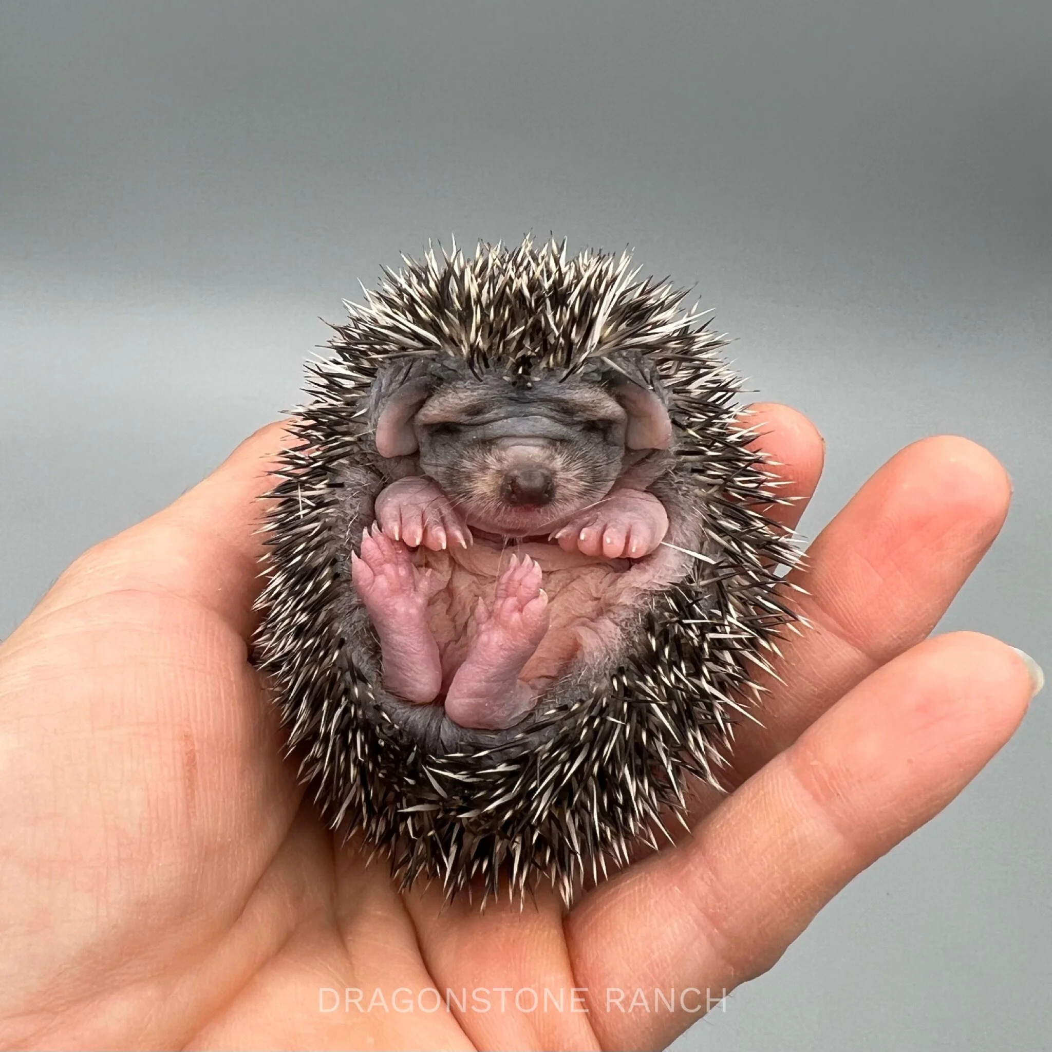 4DDE3573-91E2-4AD6-BCE5-F022AC9163DF