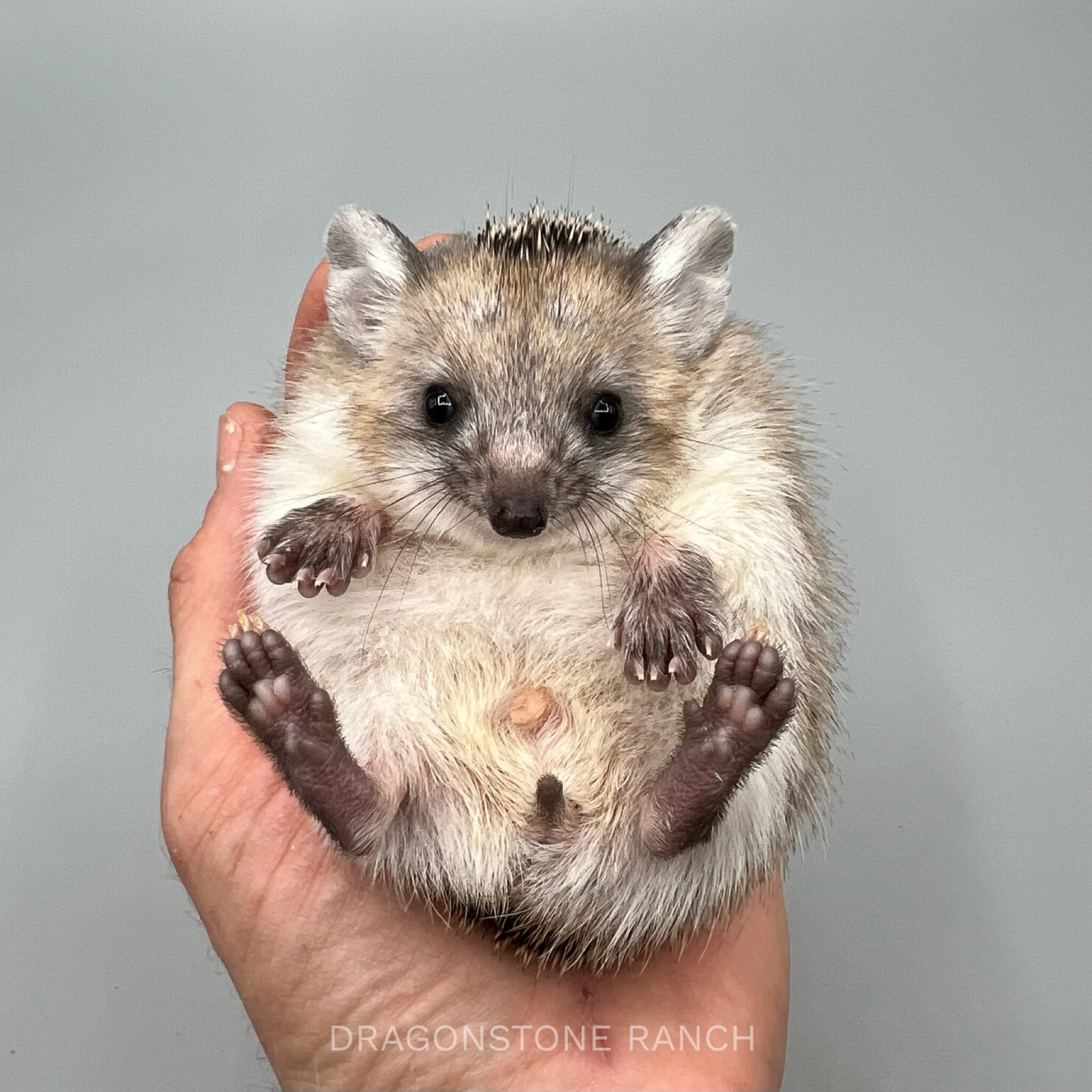 0BC0BF54-ADCF-42F0-A2CB-81278B0BFD71