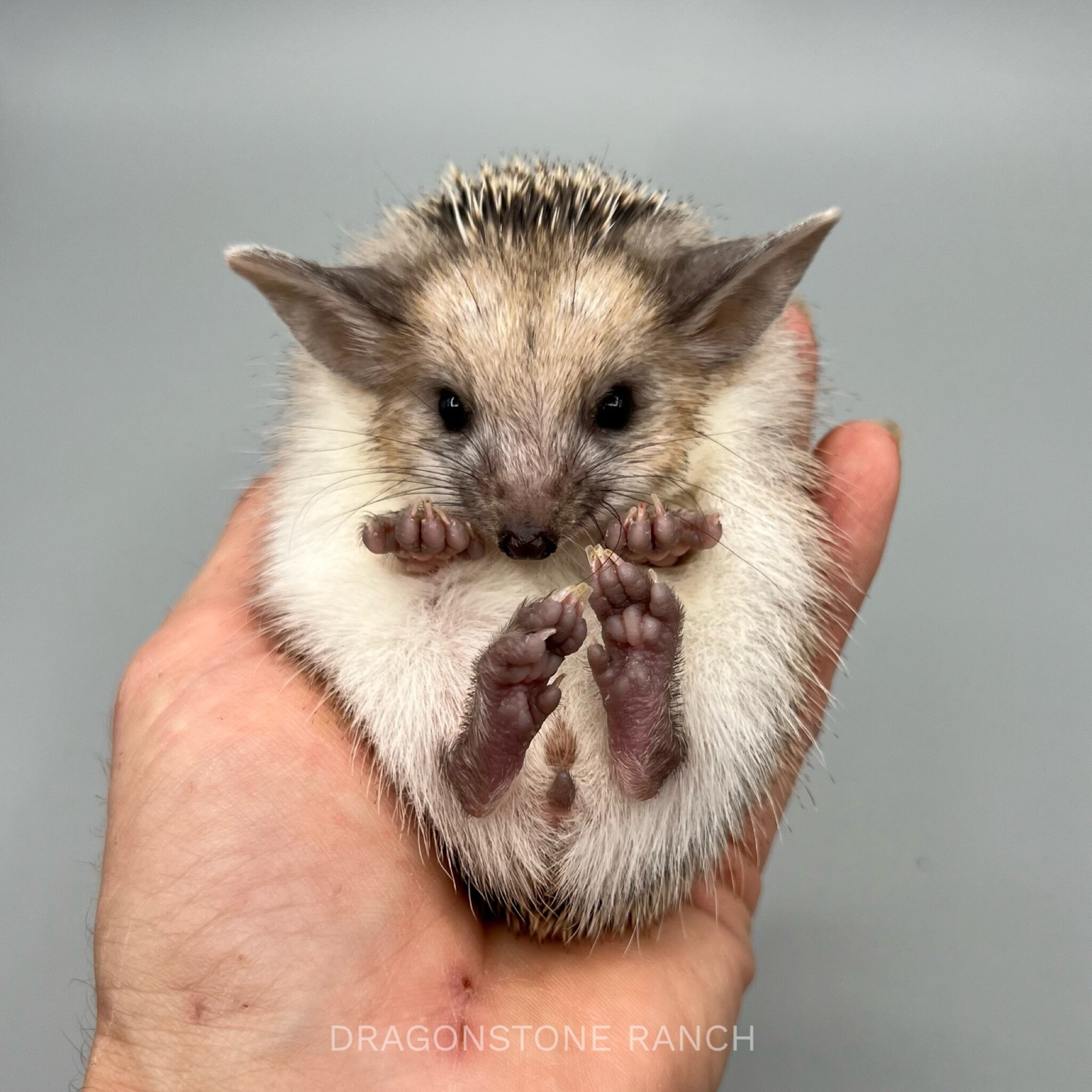 730791AB-3E6F-4E20-9176-E65D5DC9E098