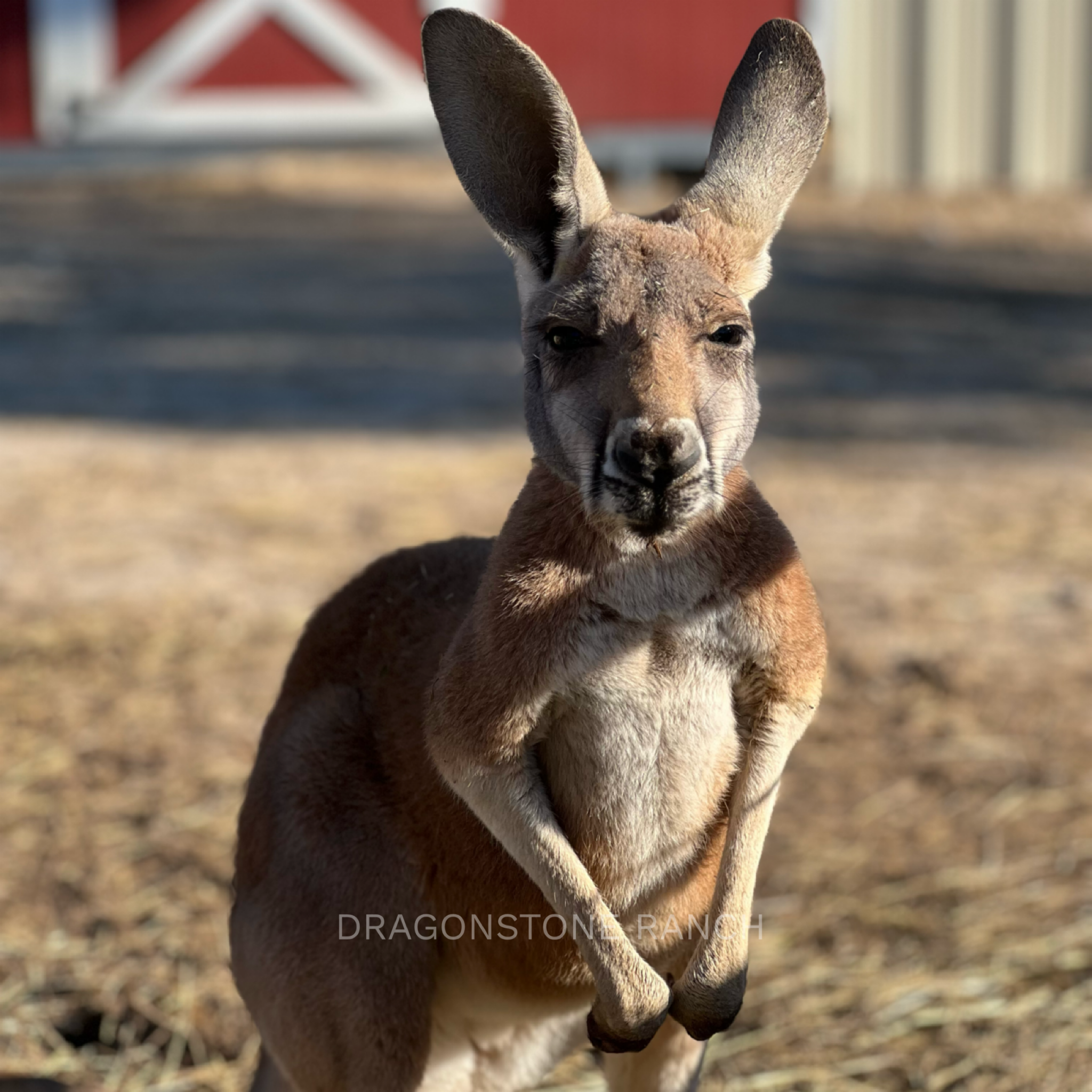 EA970AE4-79D9-4267-8164-4A28186EC088