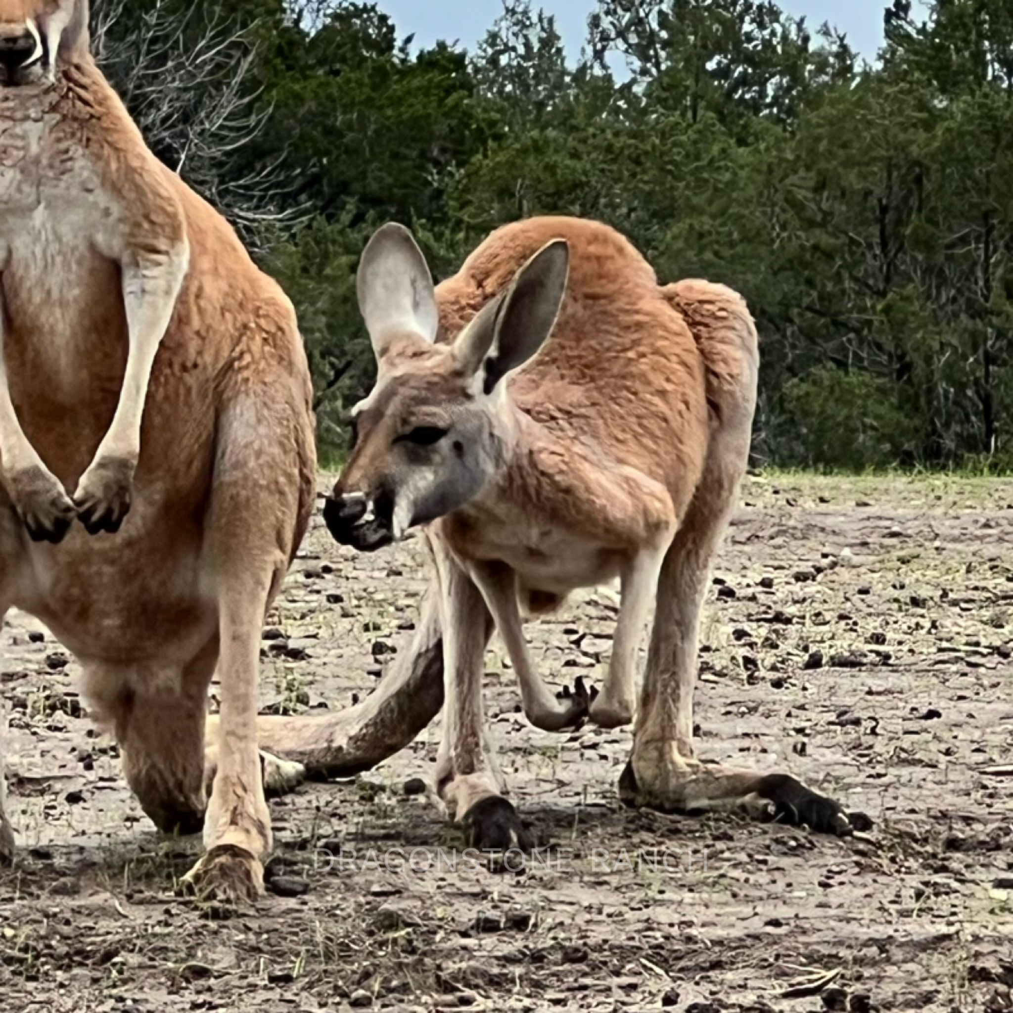 5A5694AD-3529-46E2-8A2F-5E4A8B9CAC6D