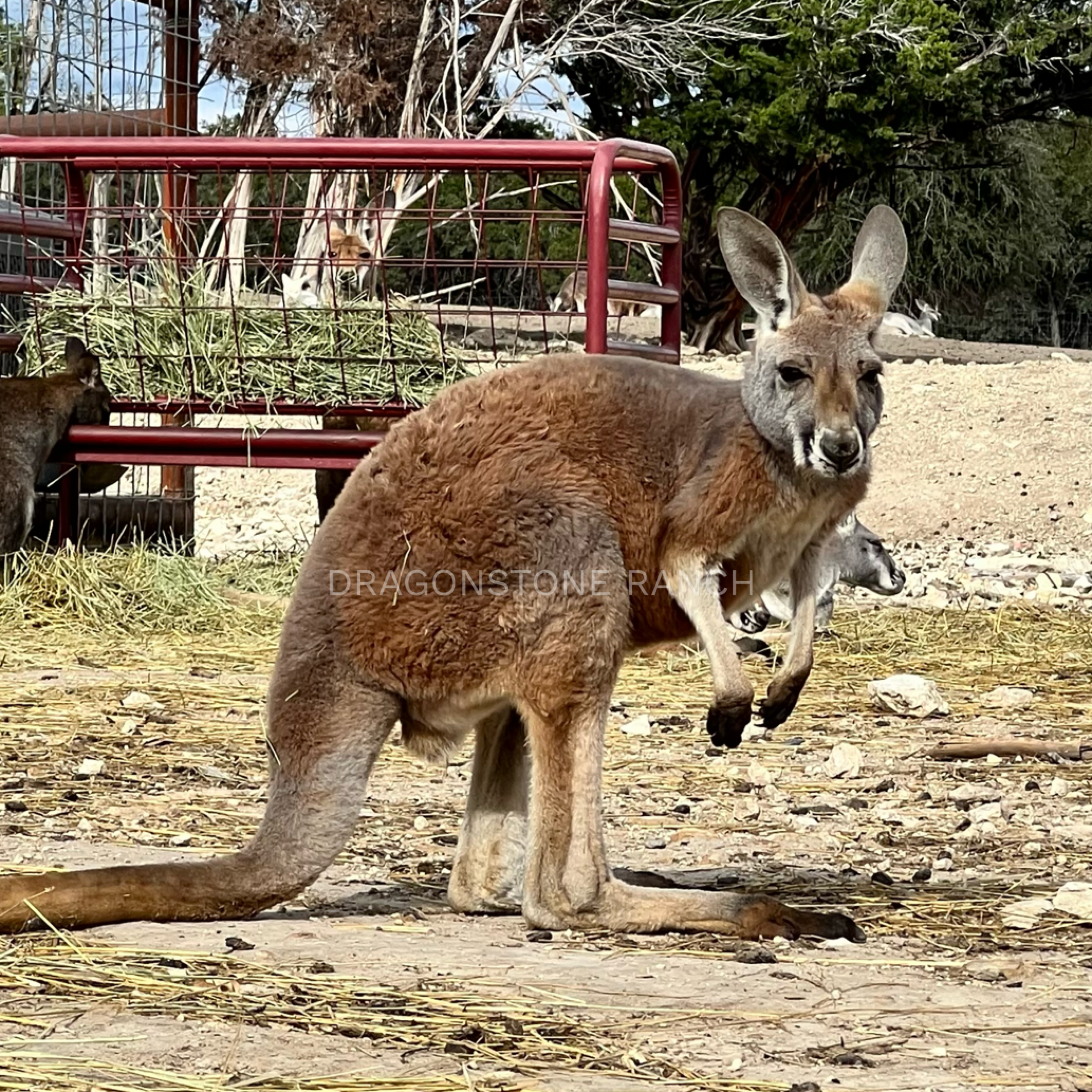 84B16F67-BFBC-4655-B60F-924FF5784EDB