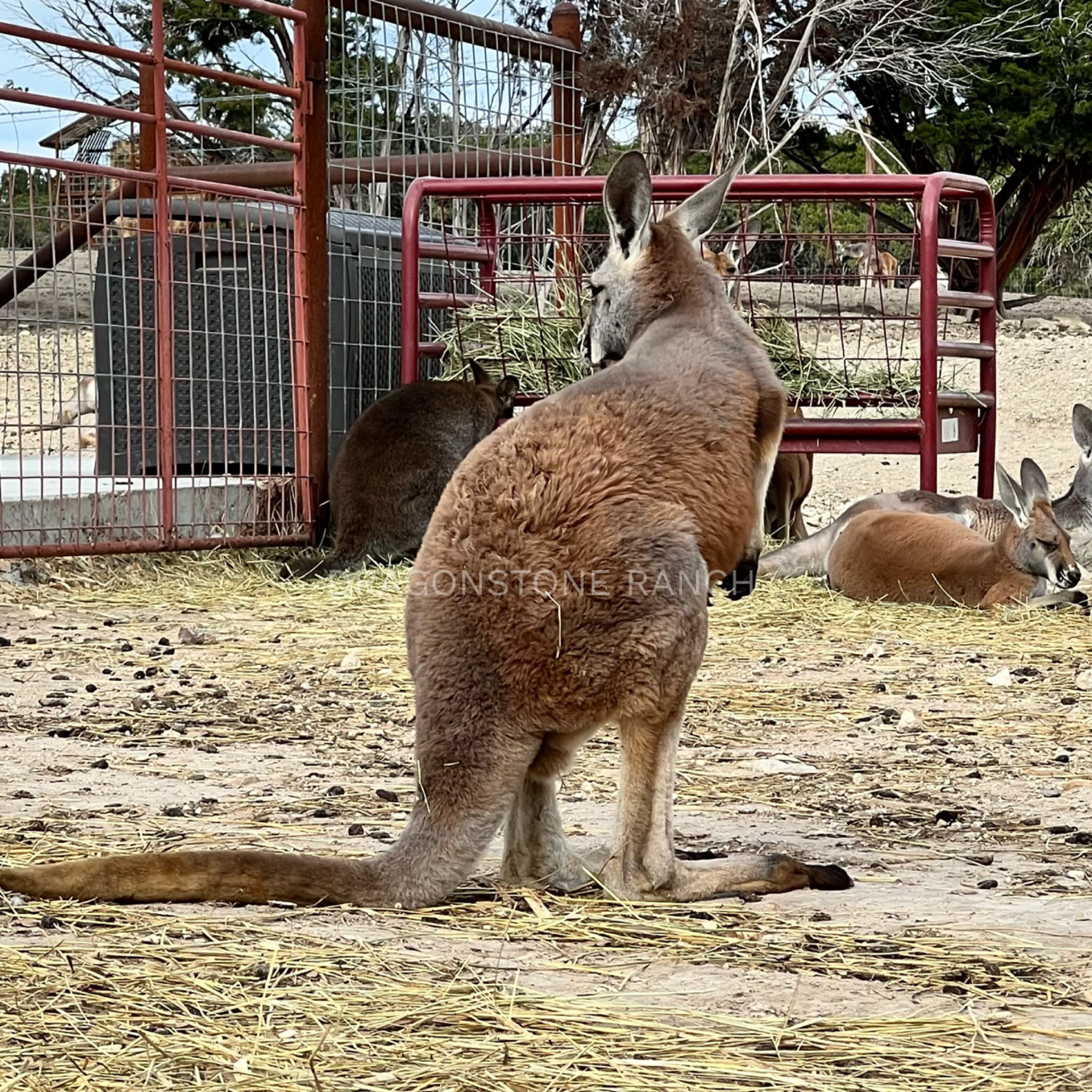 B869ED34-ECC5-4D54-AF4D-AD465B0202BF