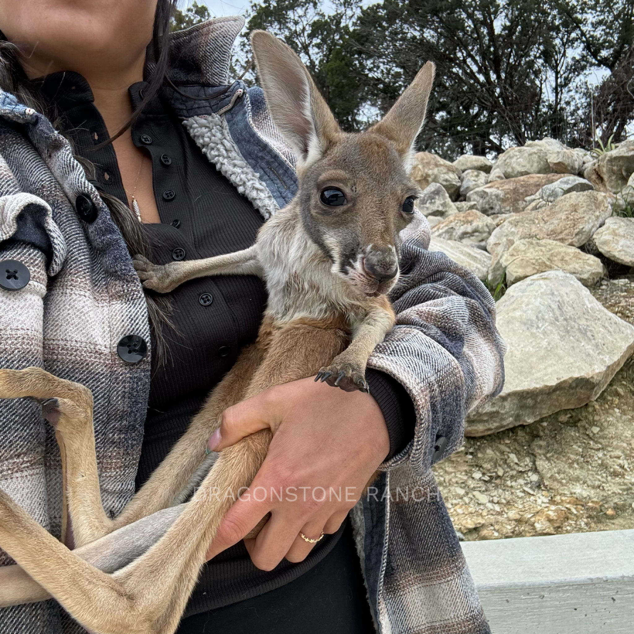 2300A431-72A1-4A72-865D-013FBE632E73