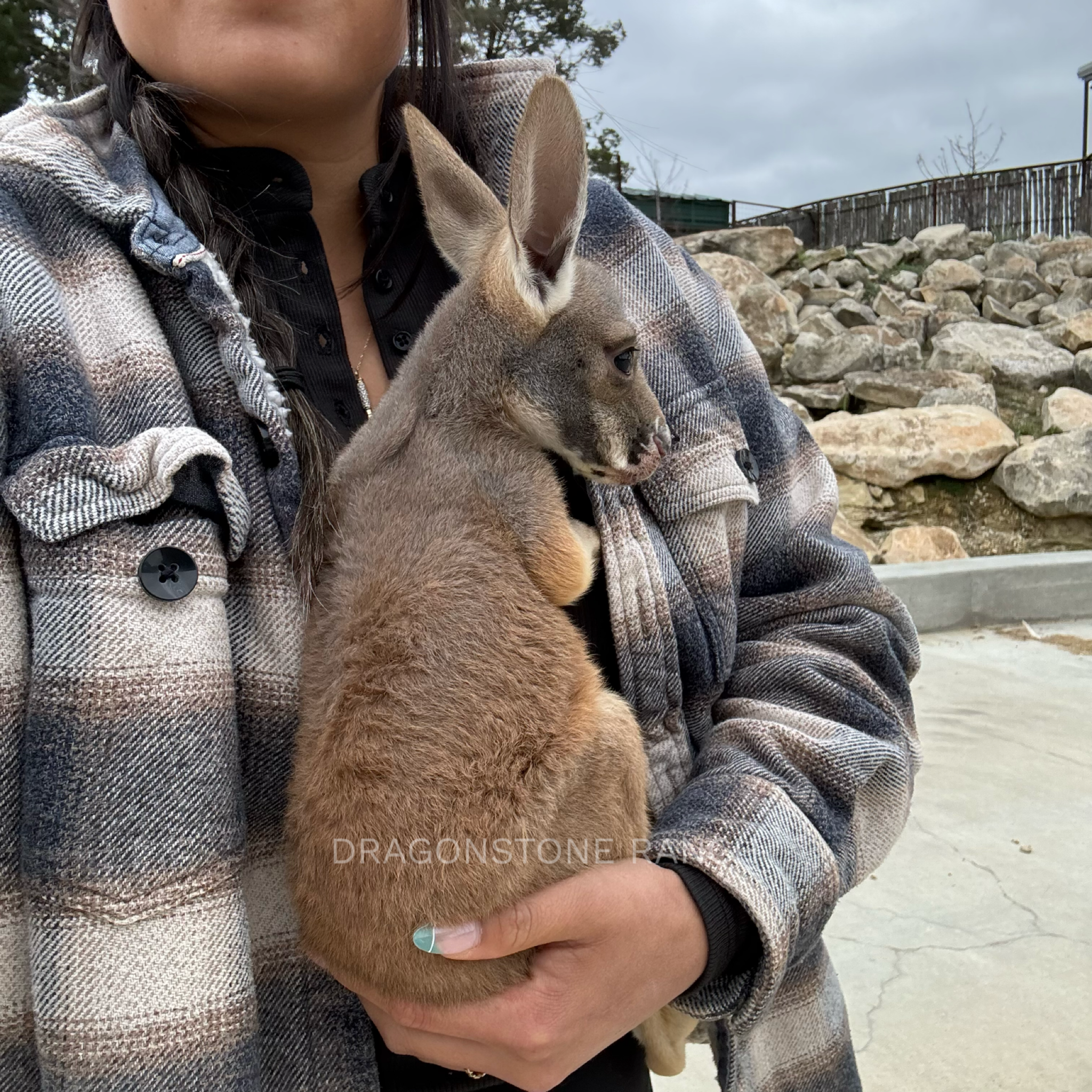 6EC33ED2-9BD3-4EA2-B05E-E6415BF5DCB2