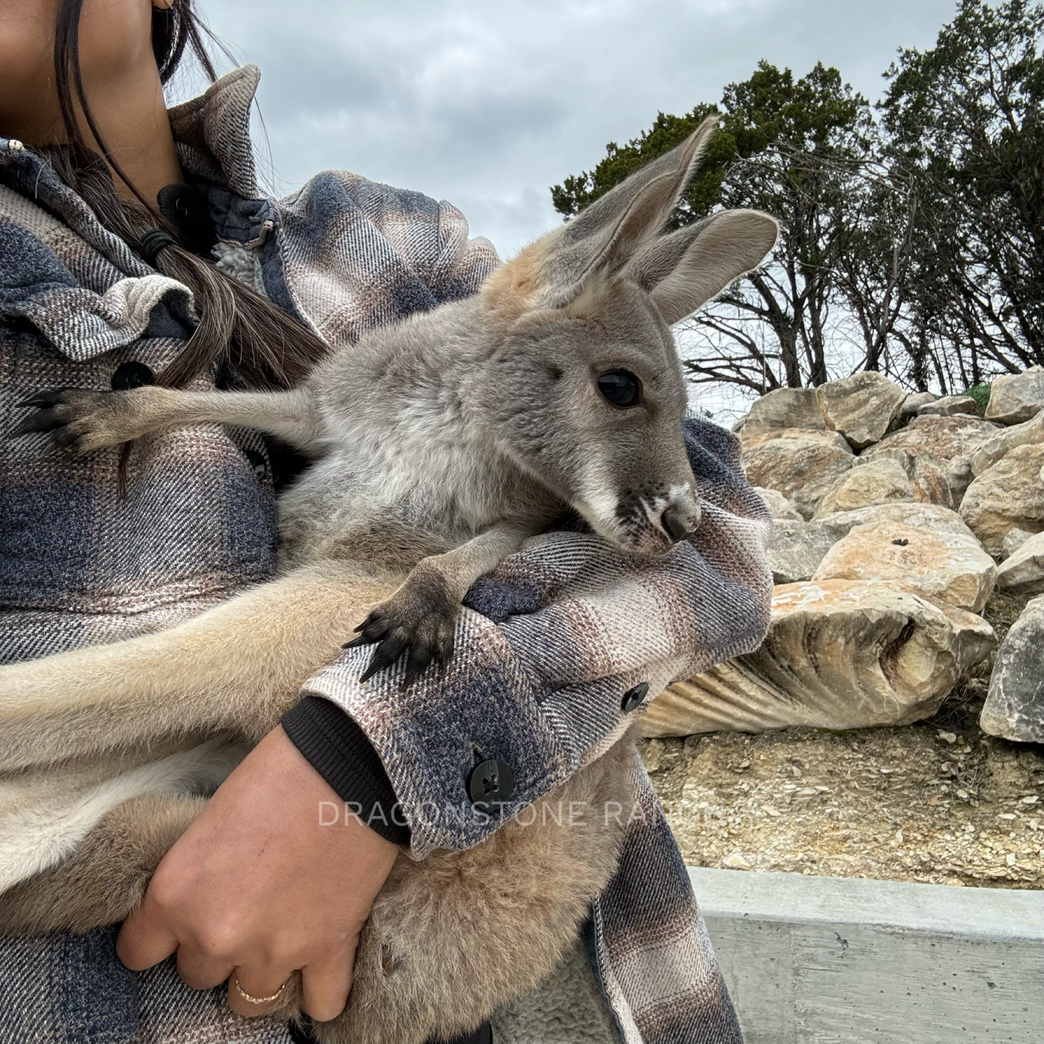 CF26A9F0-F8FC-46BB-9D7A-74C29C39F6B4