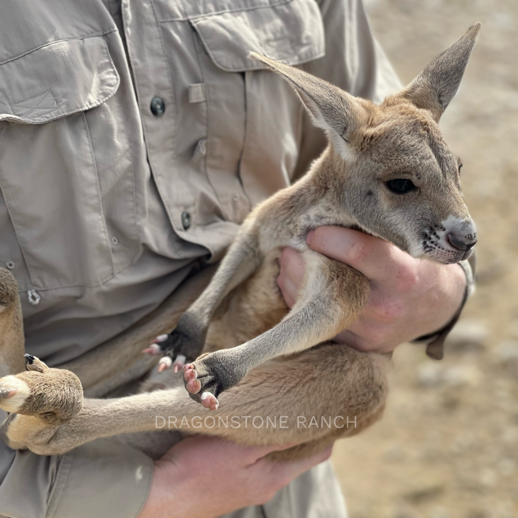 87215AA6-A460-448B-8A8D-777D355358B1