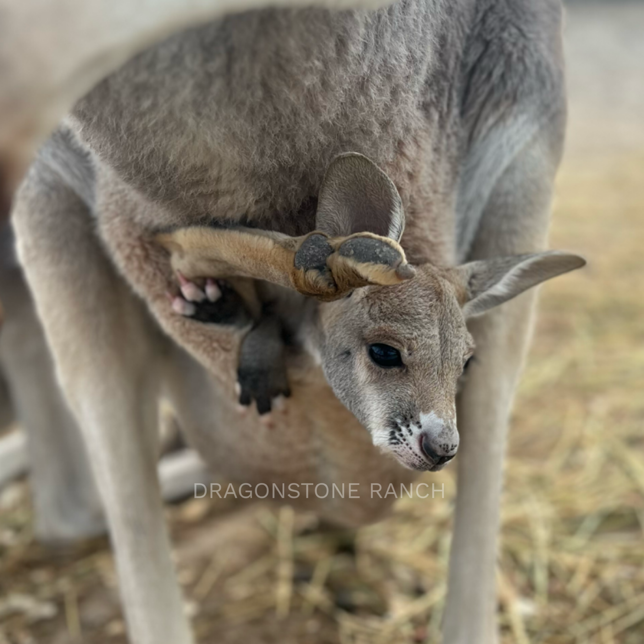 971EC105-F4F8-4AC2-8C28-DFB8E68378CC