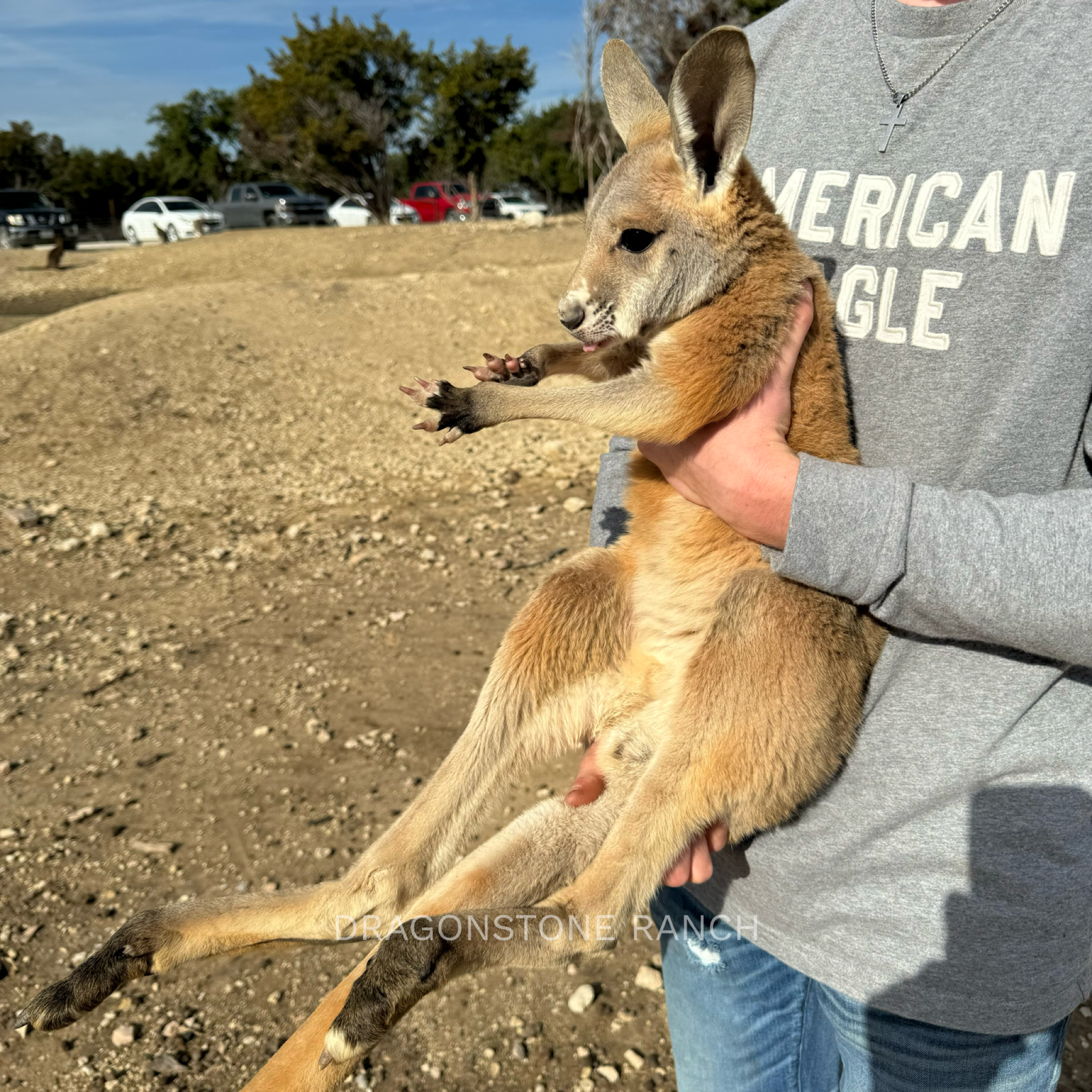 0C0A25A0-DBF3-4C39-B29D-34C6E8D2D3EC