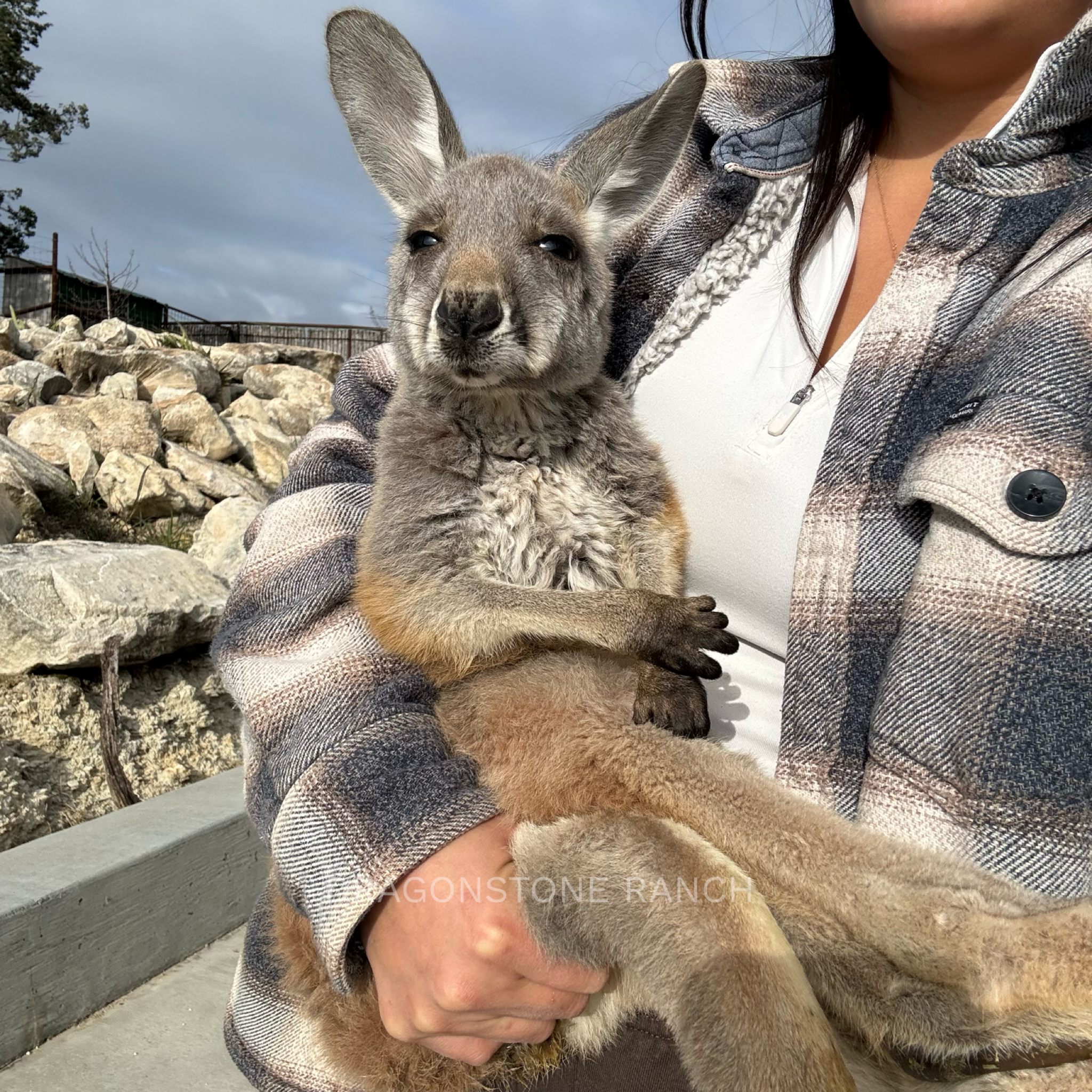 81D4DA1D-8835-4FAD-9192-85F995D0E90D