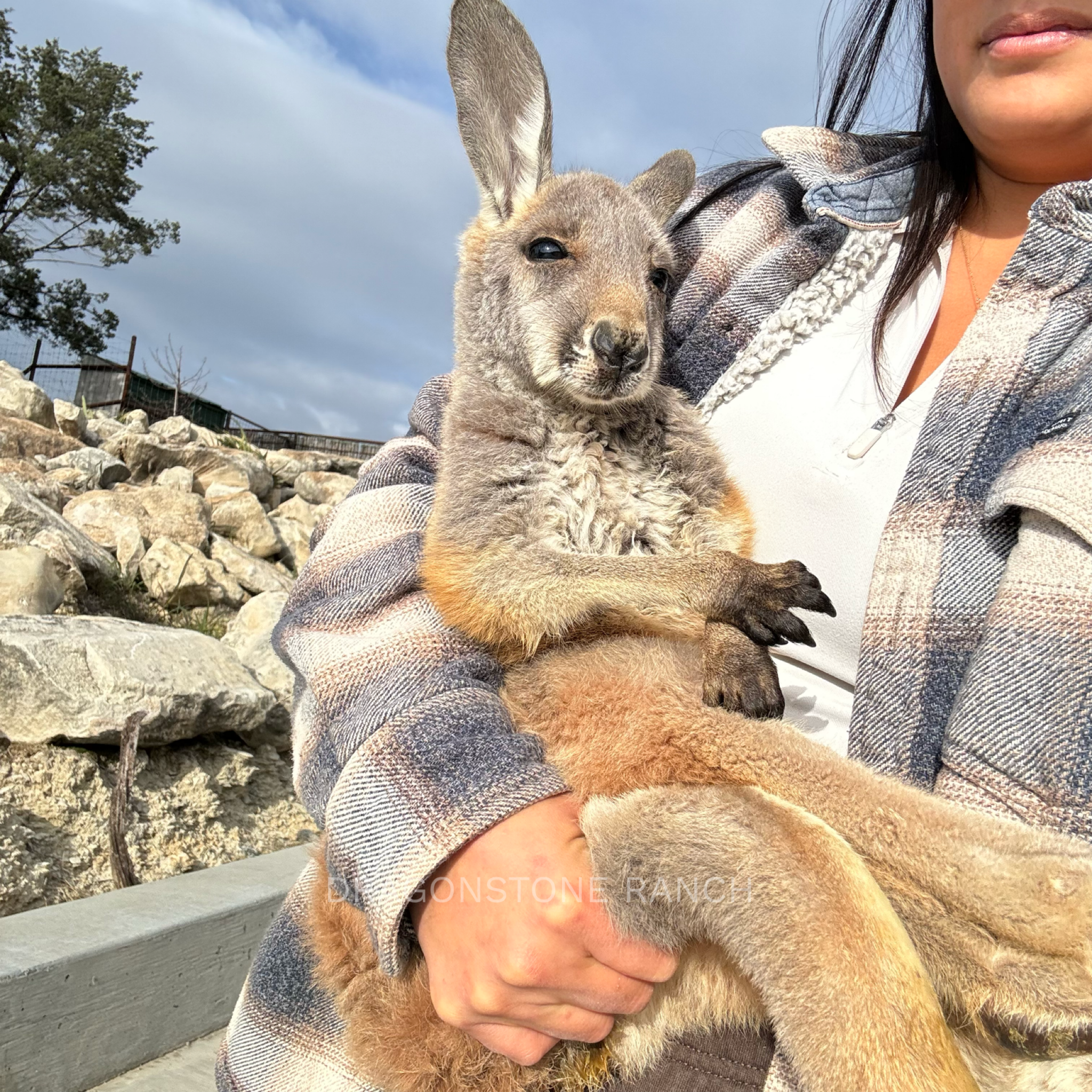 75B7B014-B5D3-4AC1-B0F5-DFCEDA0274B7