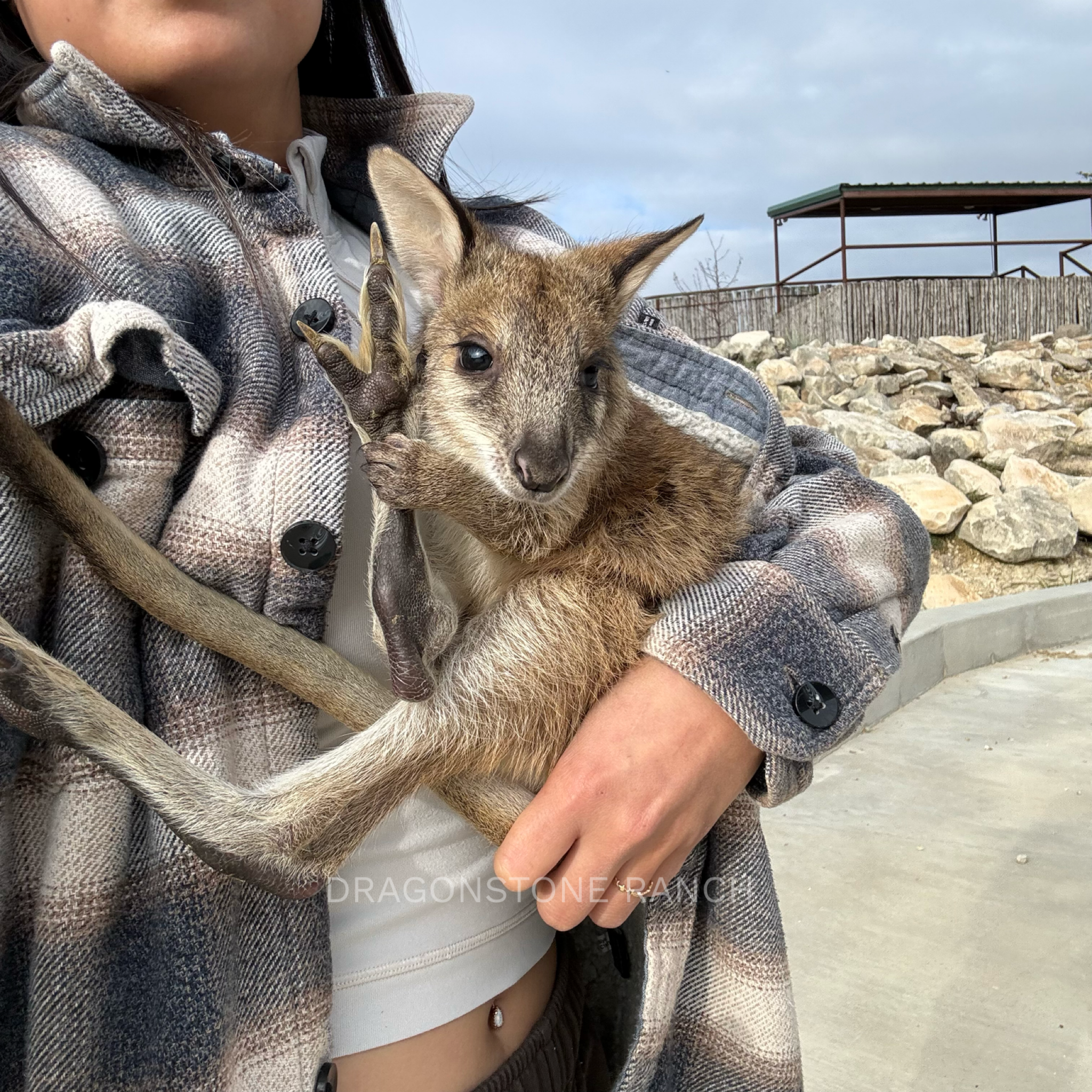 90467BFD-031F-46B0-AA65-83AF6572EDDD