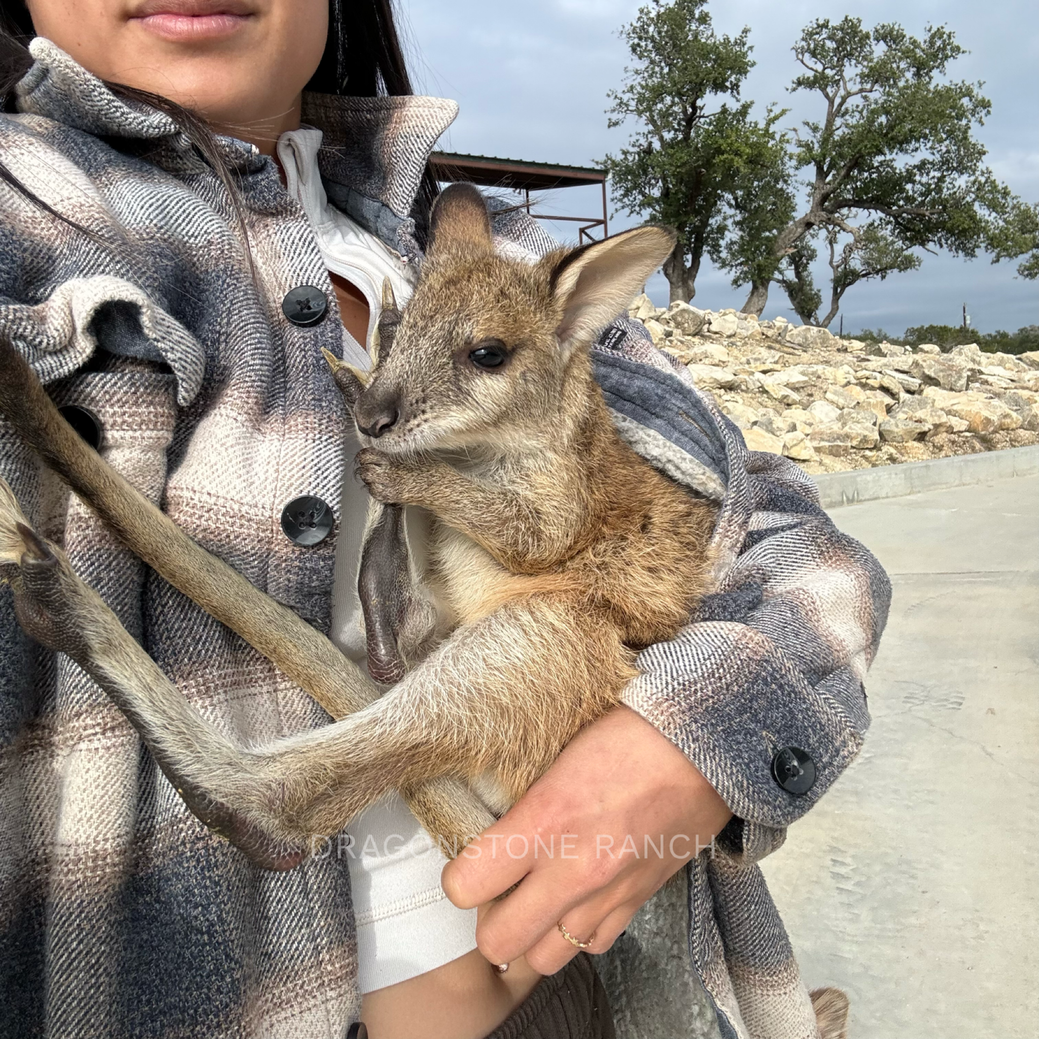 B070EEBE-2BC8-4D94-8015-F9E1B1A8C46B