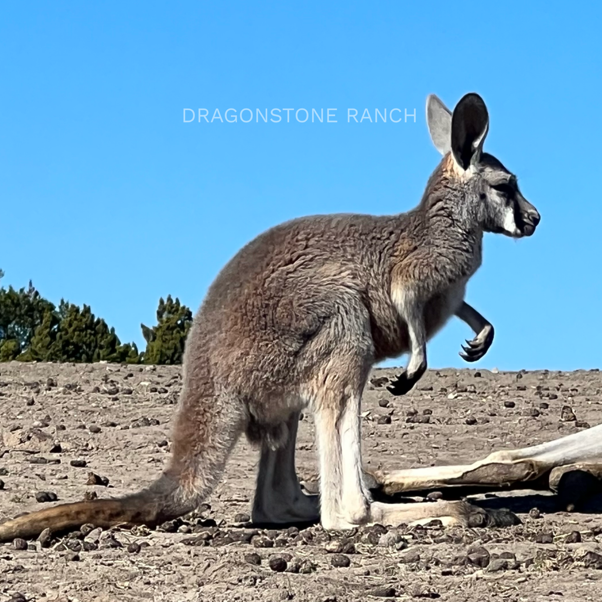 712DD1B2-1501-491A-A44B-6F201B4FD182