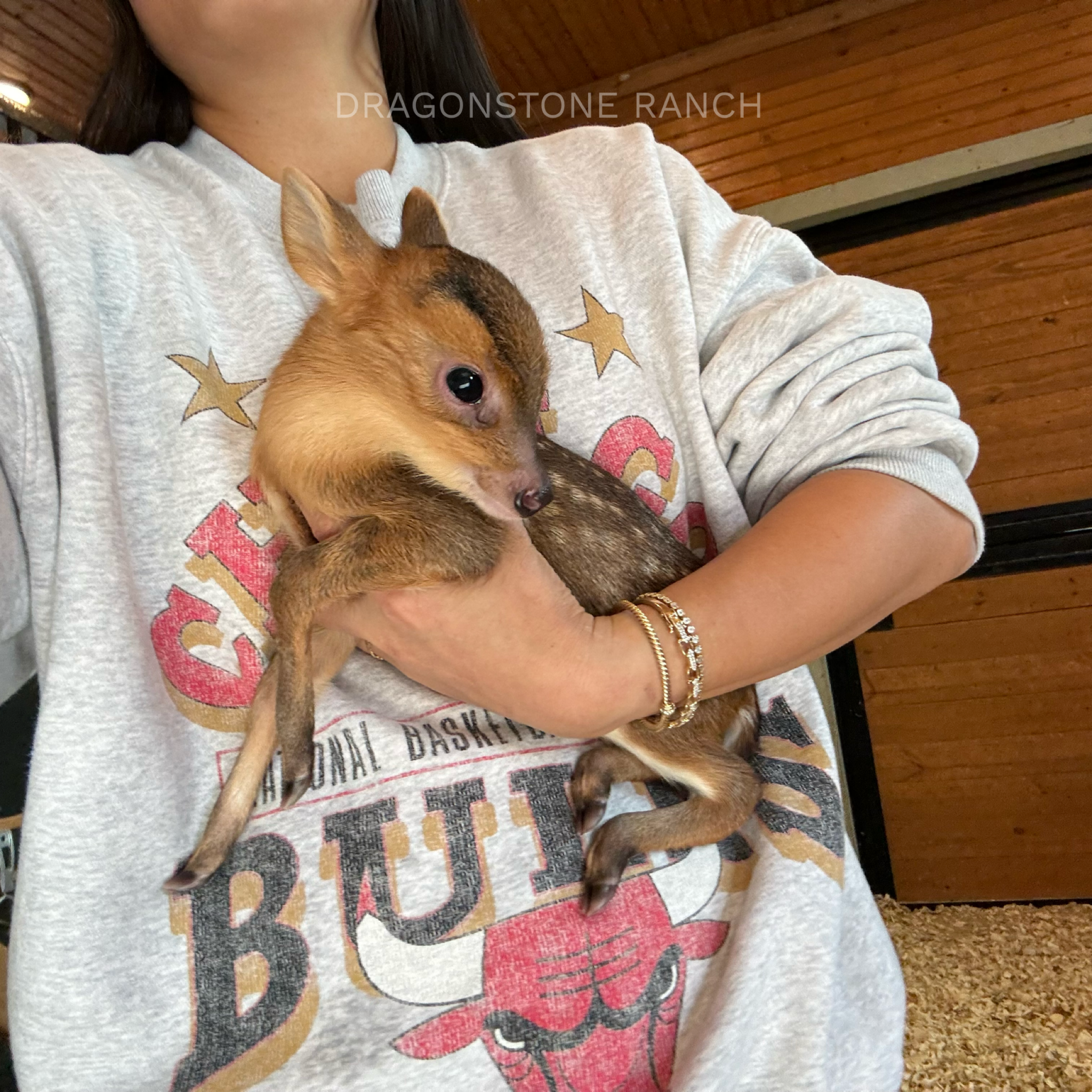 4F17966B-ABB5-45B5-B179-45218899C963