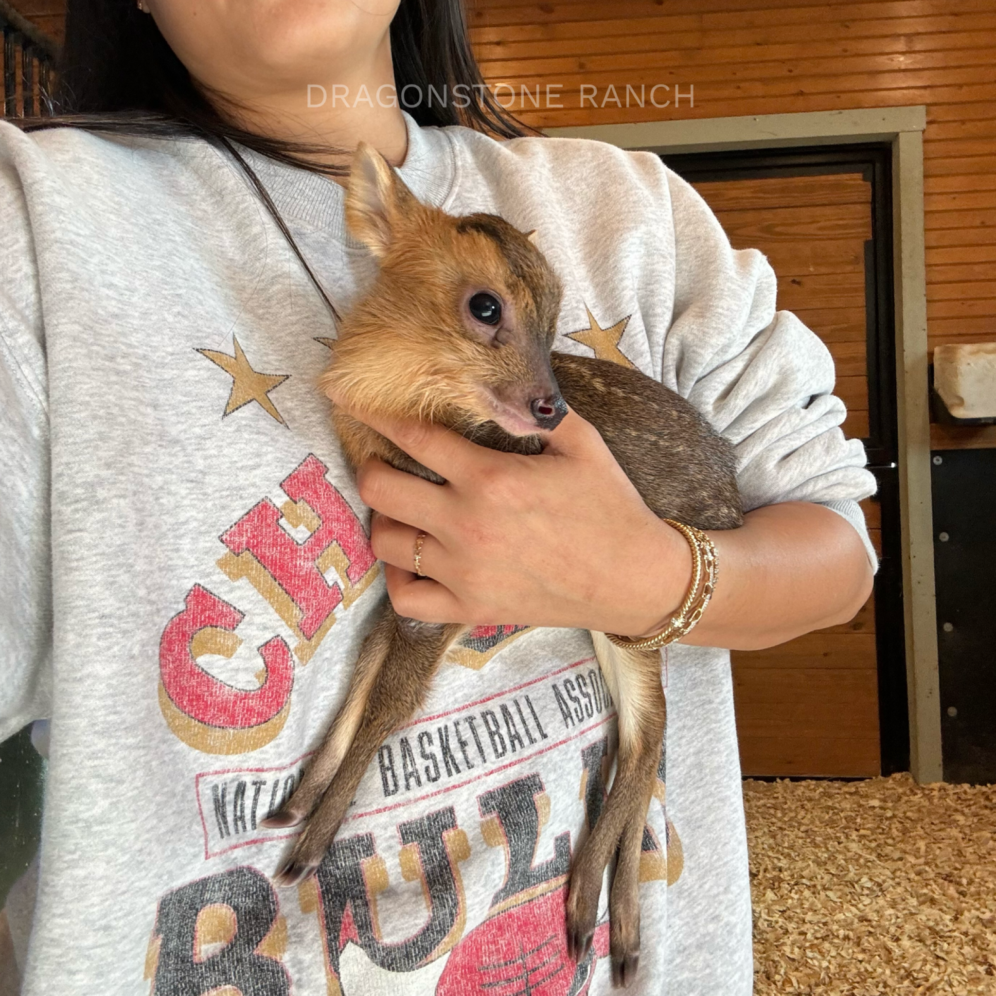 F23E86CD-A969-4A1C-ADEA-DD8E19DD6554