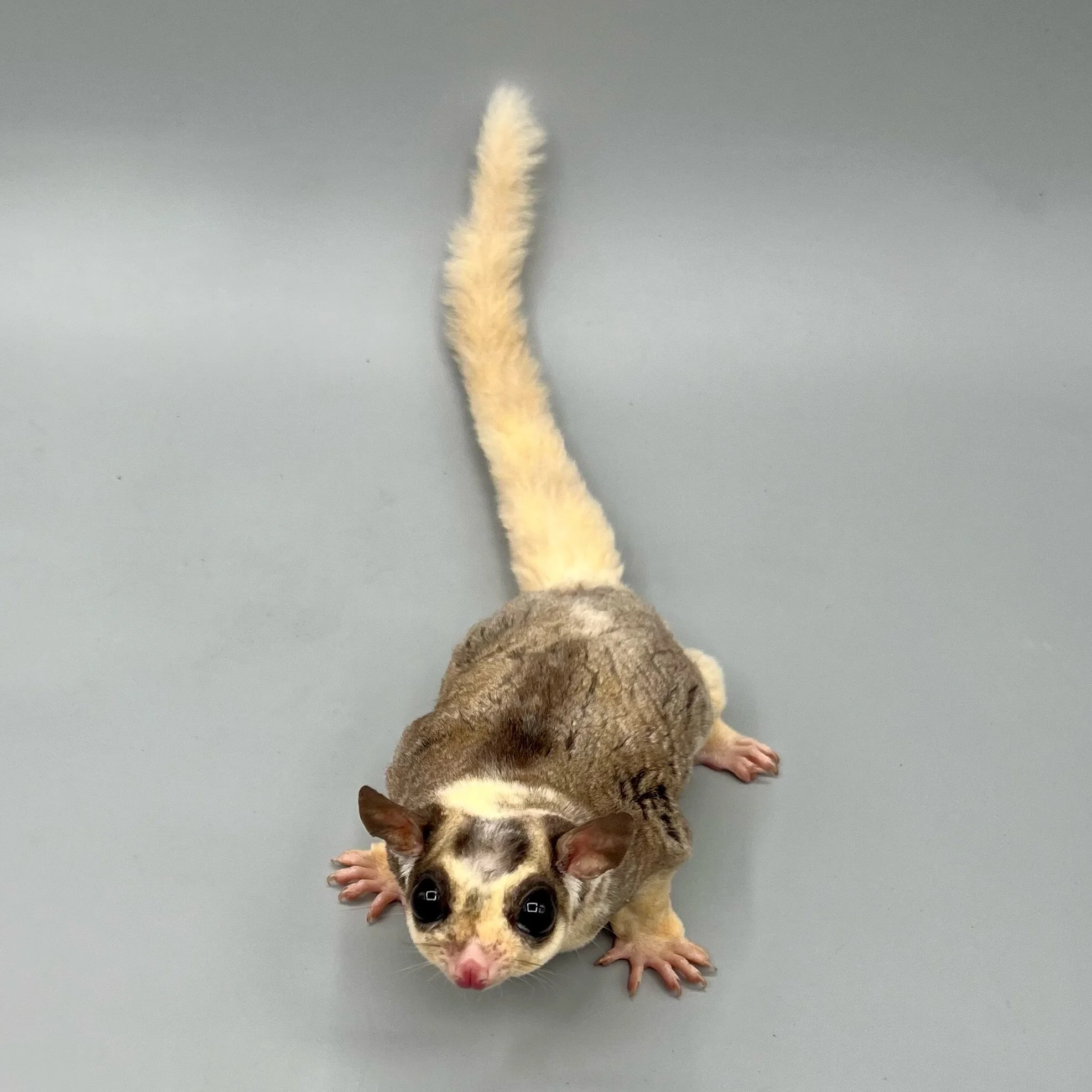 818CC33B-9238-42AD-A1F7-7FEA639FD216