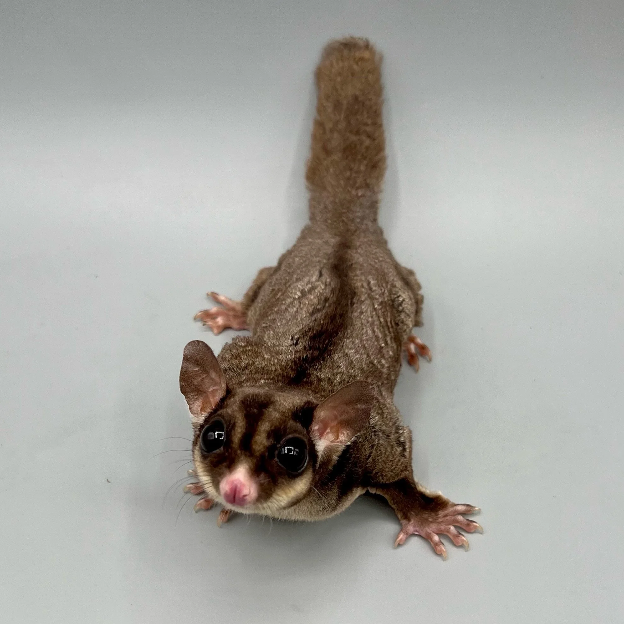 CD69067E-0B93-4634-ACC8-3685D74C93D1