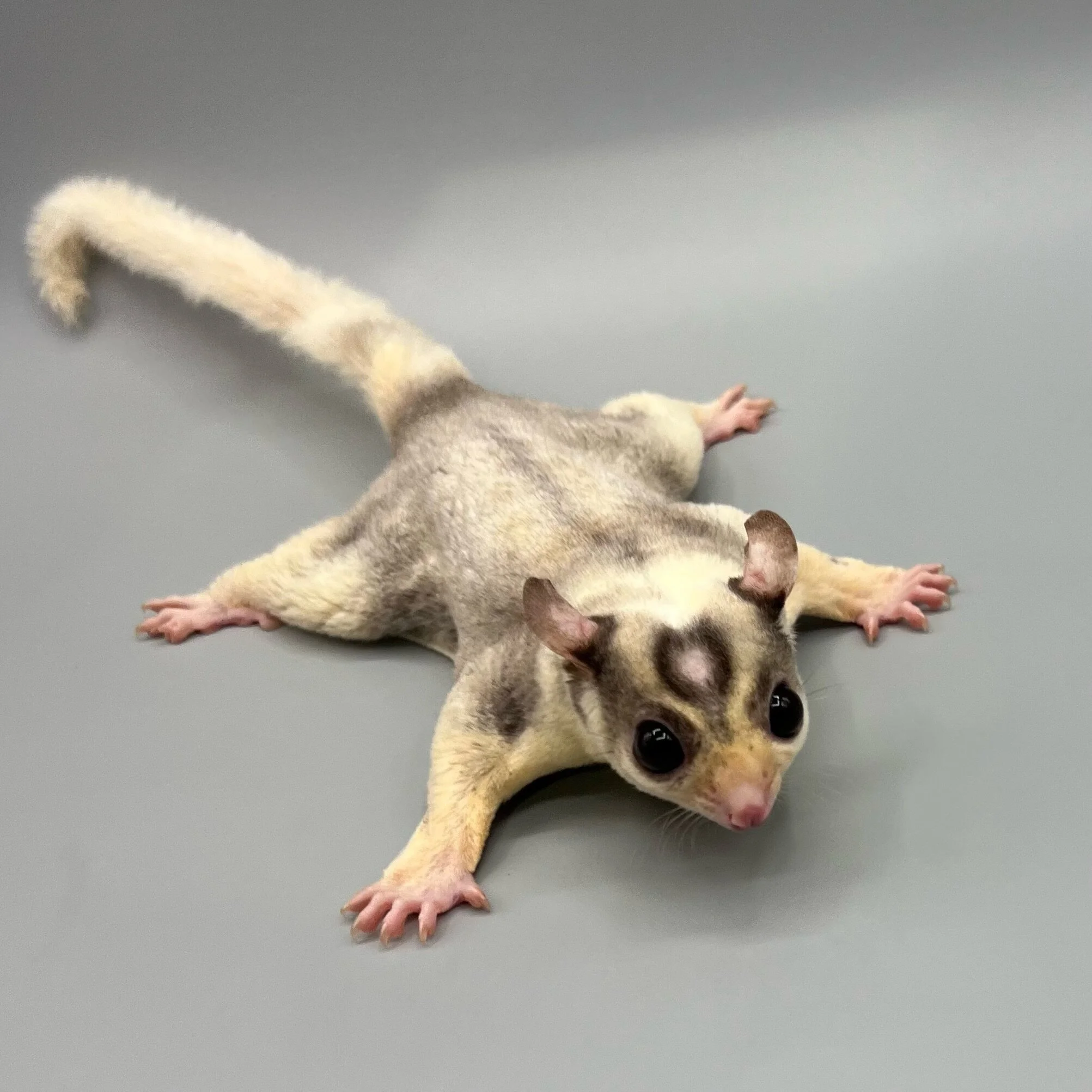 0972F9A1-5FFB-4CAE-9C04-95FA8A692503