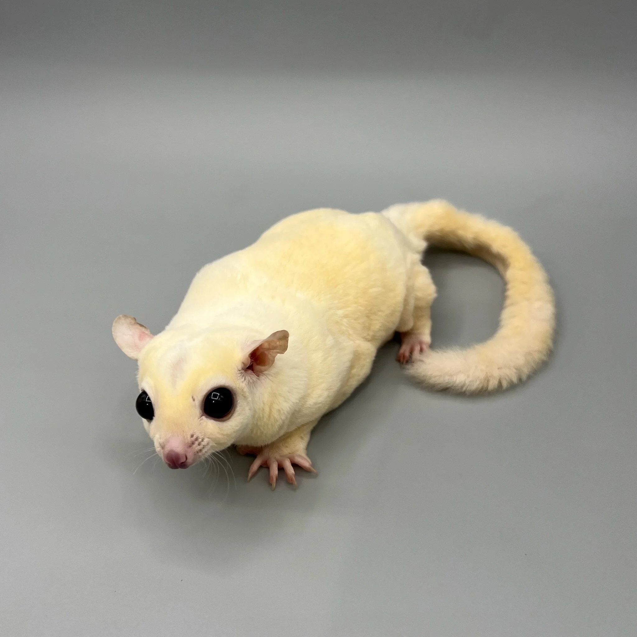 BC1D97A2-06BA-404E-9597-C19289C745C9