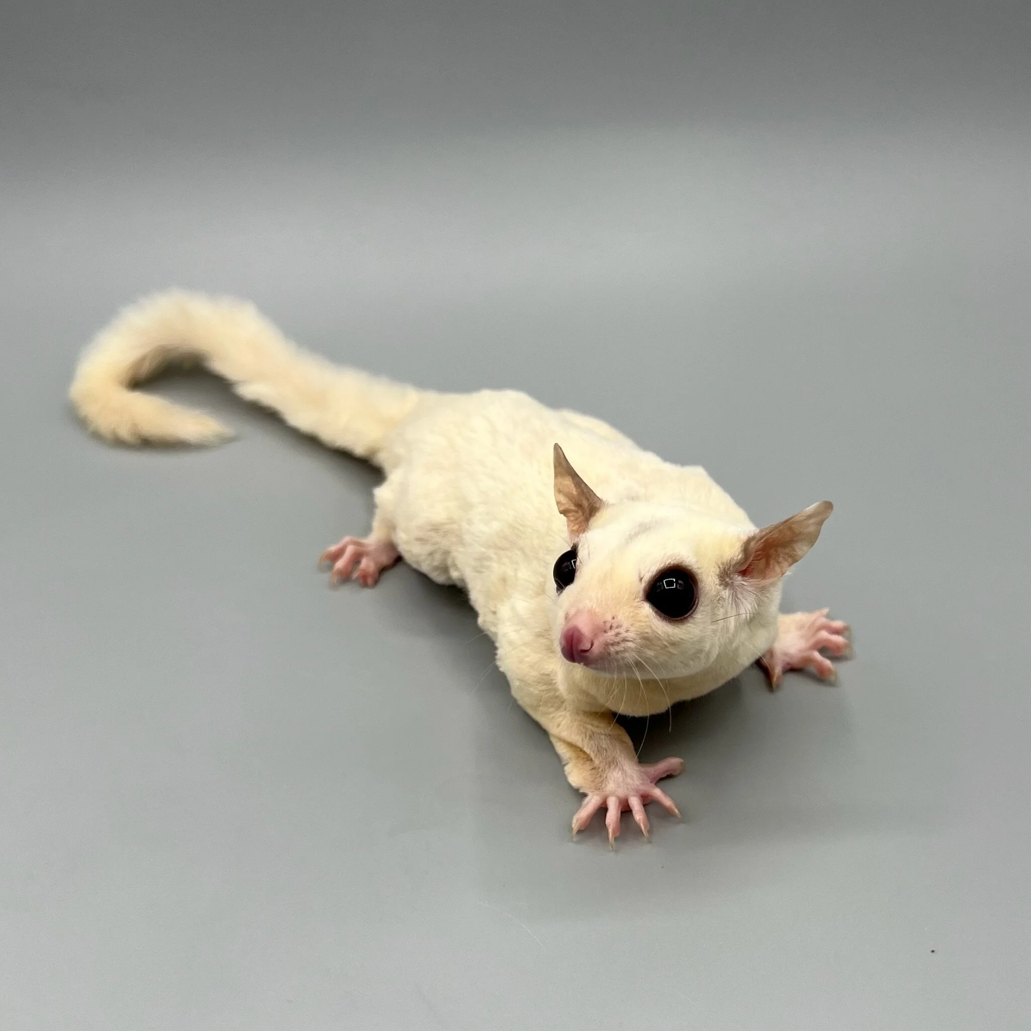 E0A4B22D-4F18-4268-B7C3-7CEA0848FBC4