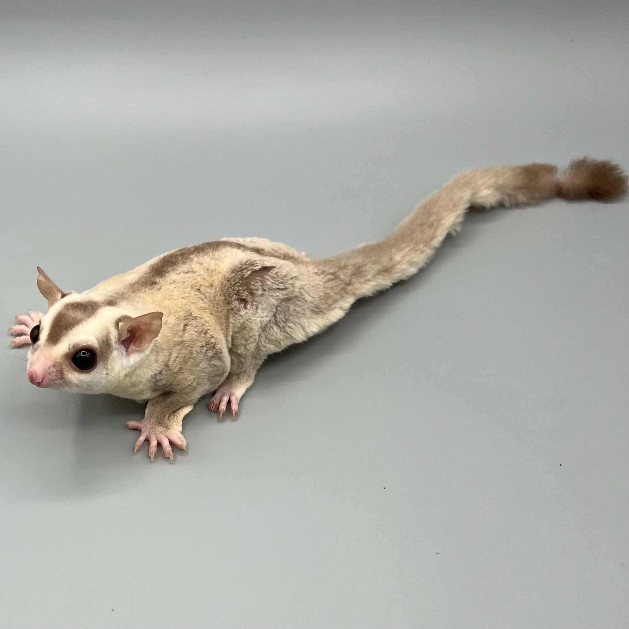 02AA64D8-4B3F-4A0A-A82C-D2E3E8067EFE