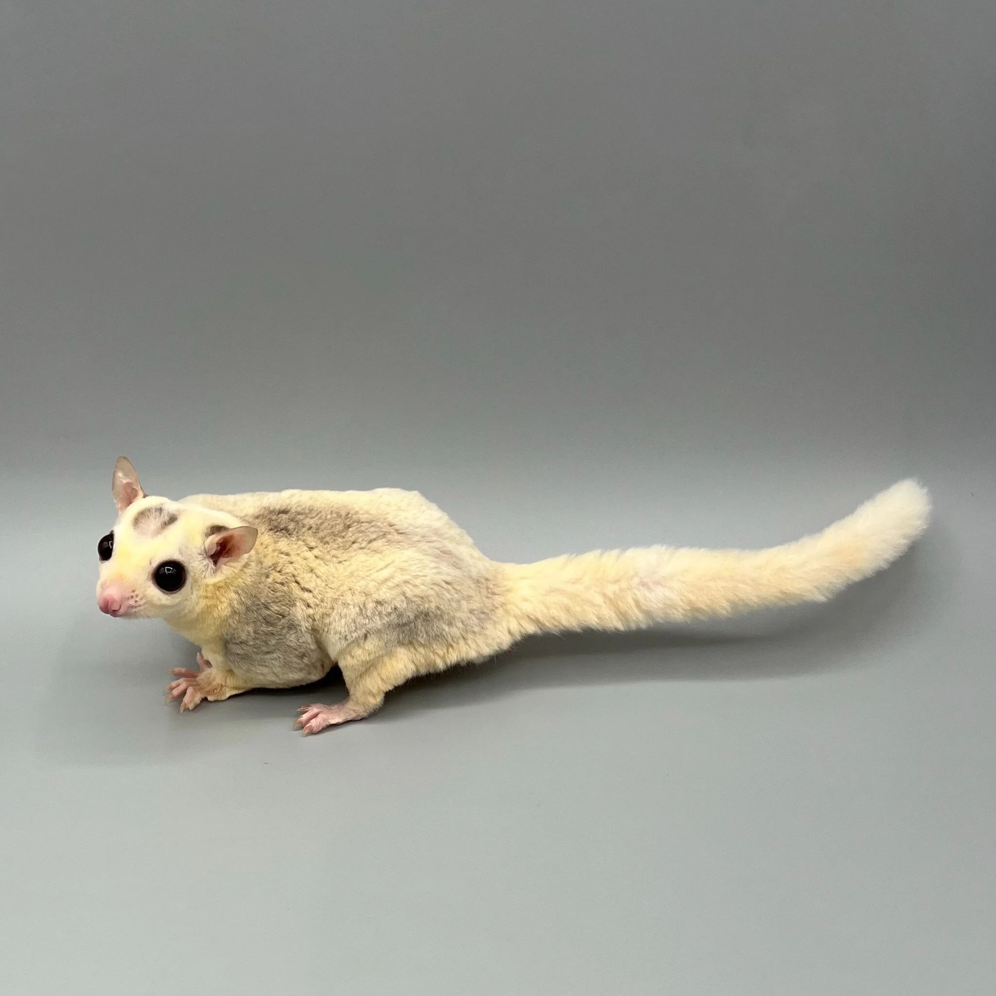 79C37C3D-6767-48AA-840C-DF837E0FE8B9