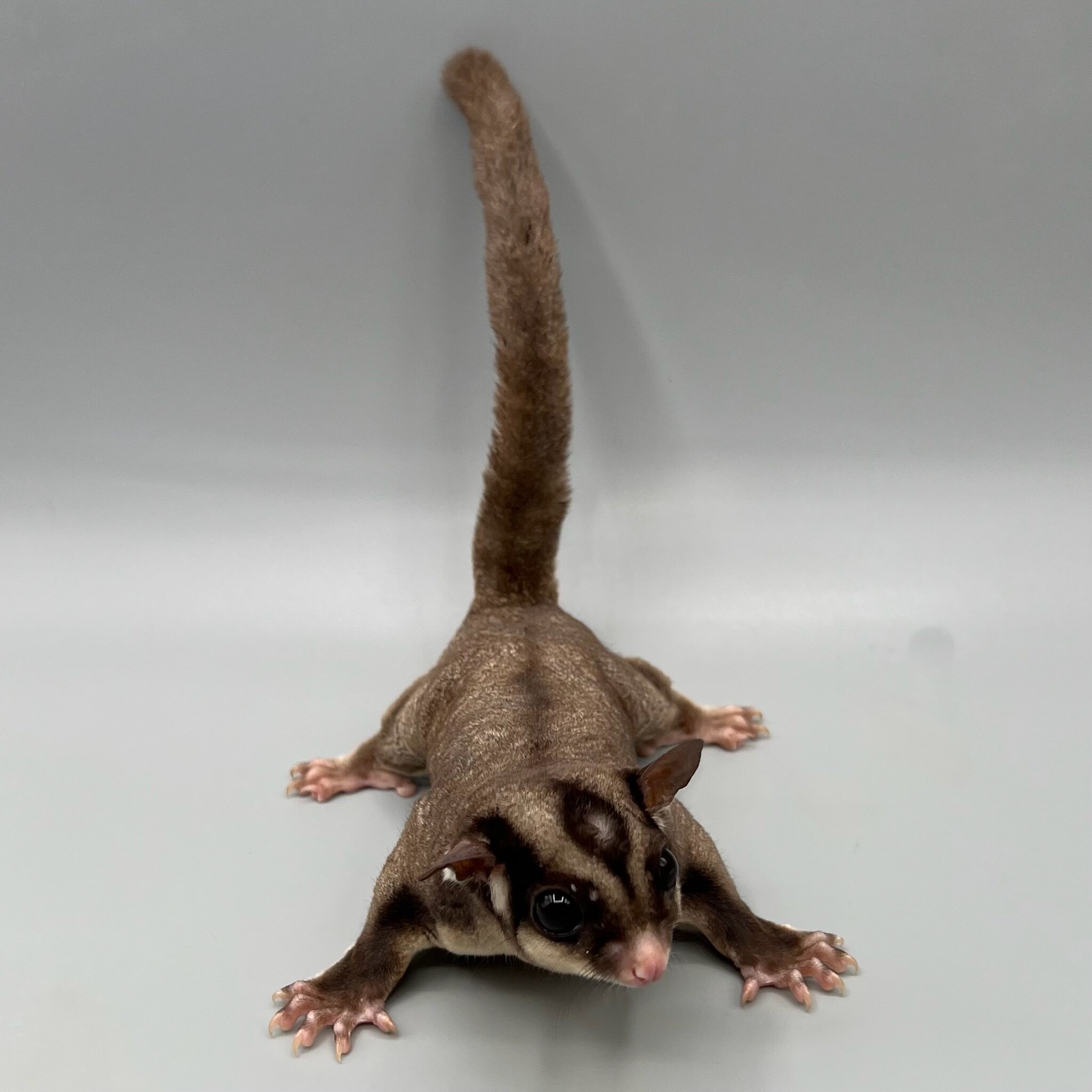 7A4A5246-0061-421D-8DEB-D7784B6D9513